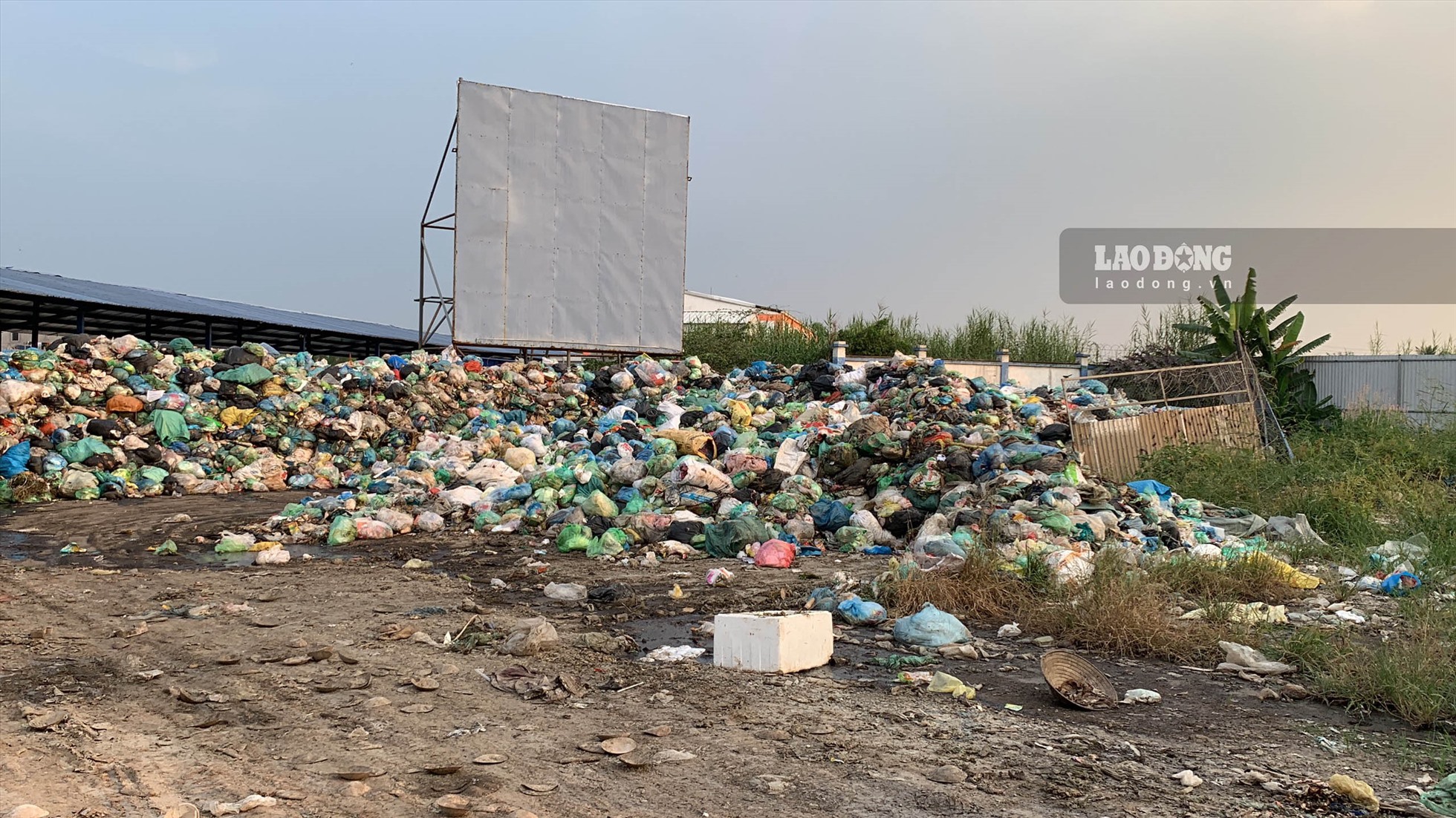 Hình ảnh bãi rác ngay đối diện cổng chợ Trịnh Xá (xã Thiên Hương, huyện Thủy Nguyên, TP Hải Phòng) suốt 7 năm nay. Ảnh: Thiên Hà.