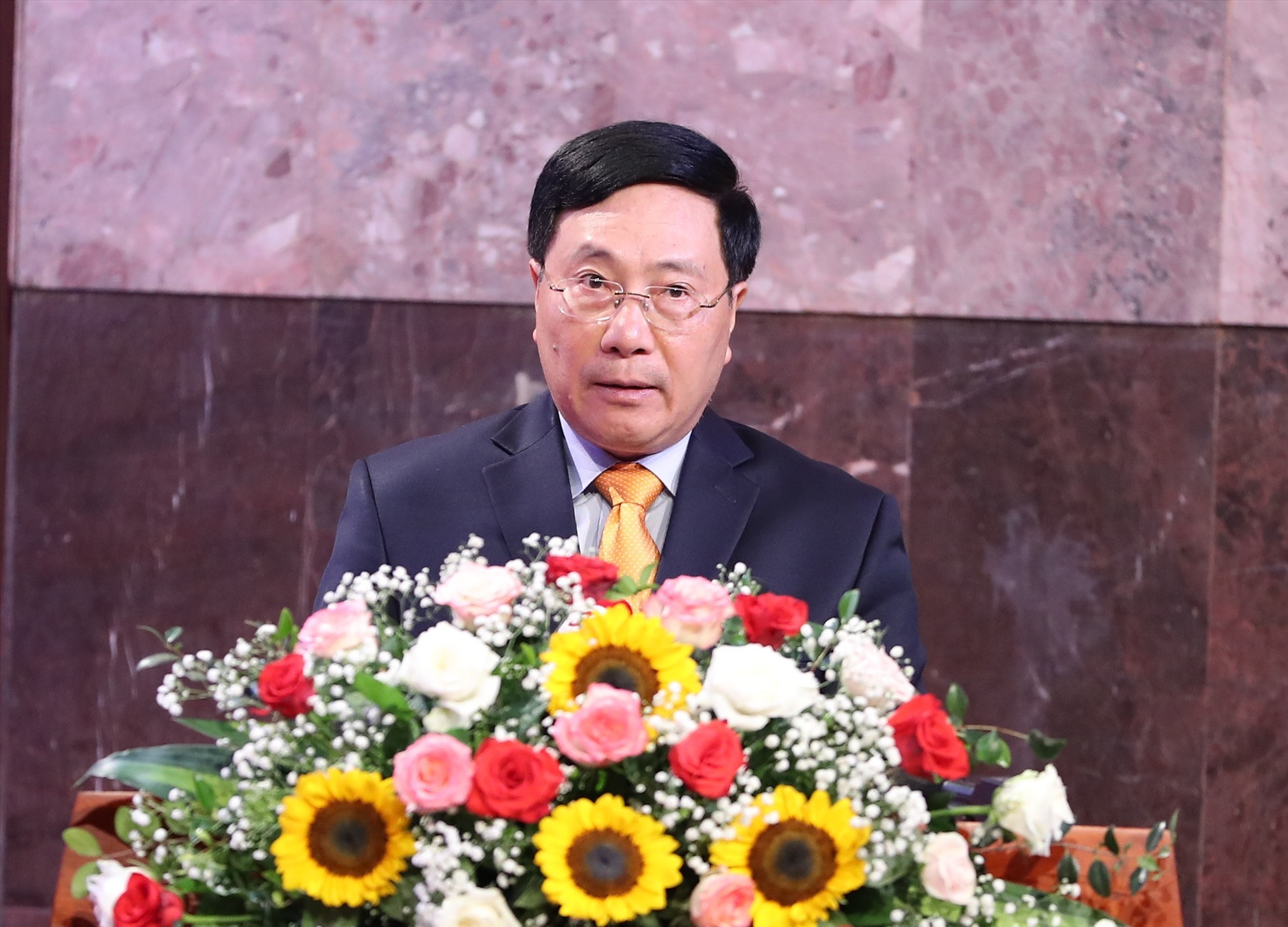 Phó Thủ tướng Thường trực Phạm Bình Minh phát biểu tại sự kiện. Ảnh: Thanh Hà