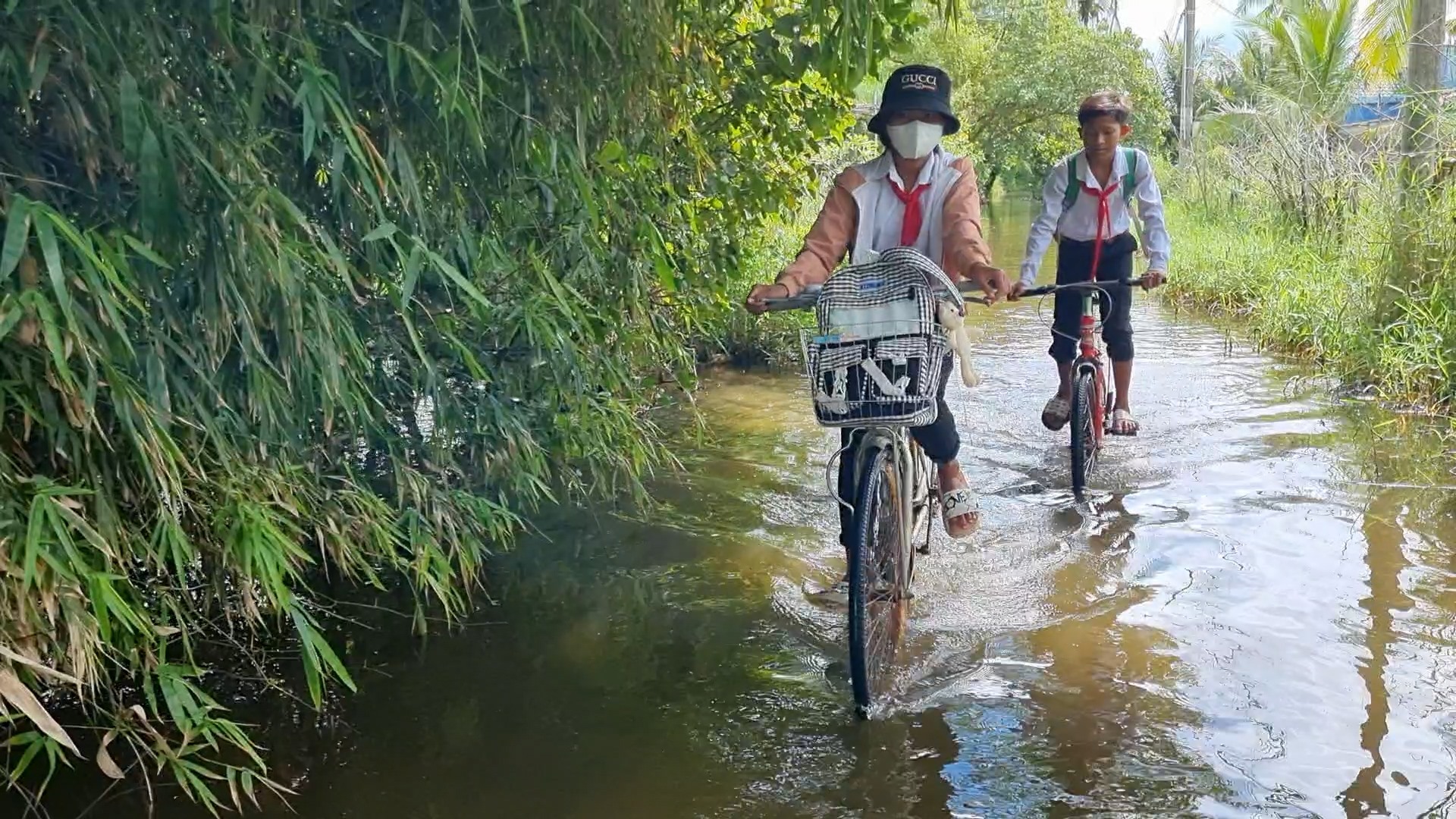 Em Triệu Minh Thạch đạp xe đi học trên con đường ngập nước mỗi ngày