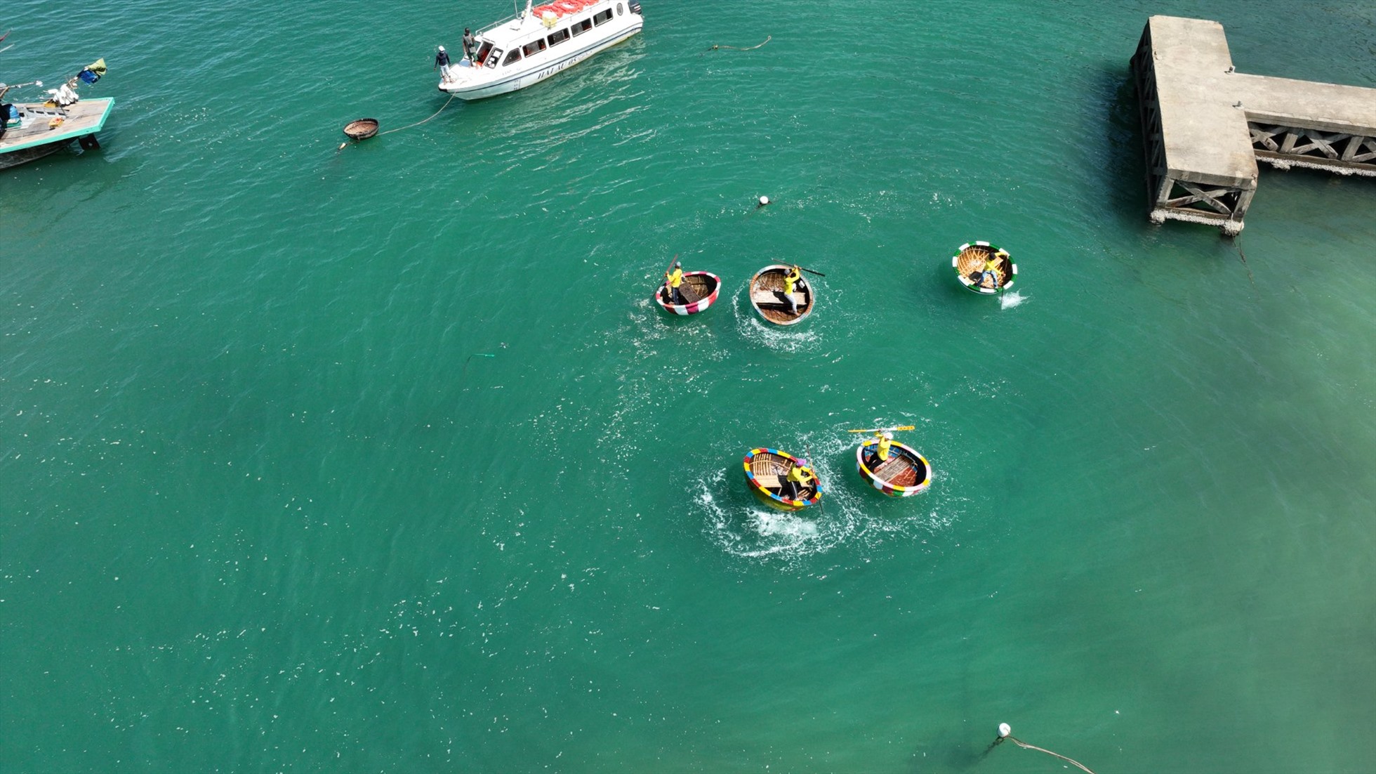 Du khách tham gia chèo thuyền thúng trên biển. Ban quản lý Khu bảo tồn biển Cù Lao Chàm.