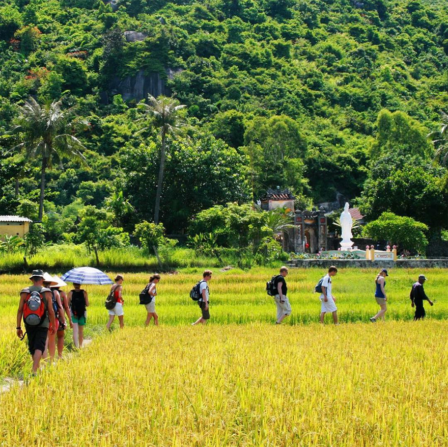 Đế đến chùa, du khách sẽ bách bộ qua cánh đồng. Ảnh: Giáo hội Phật giáo Quảng Nam.