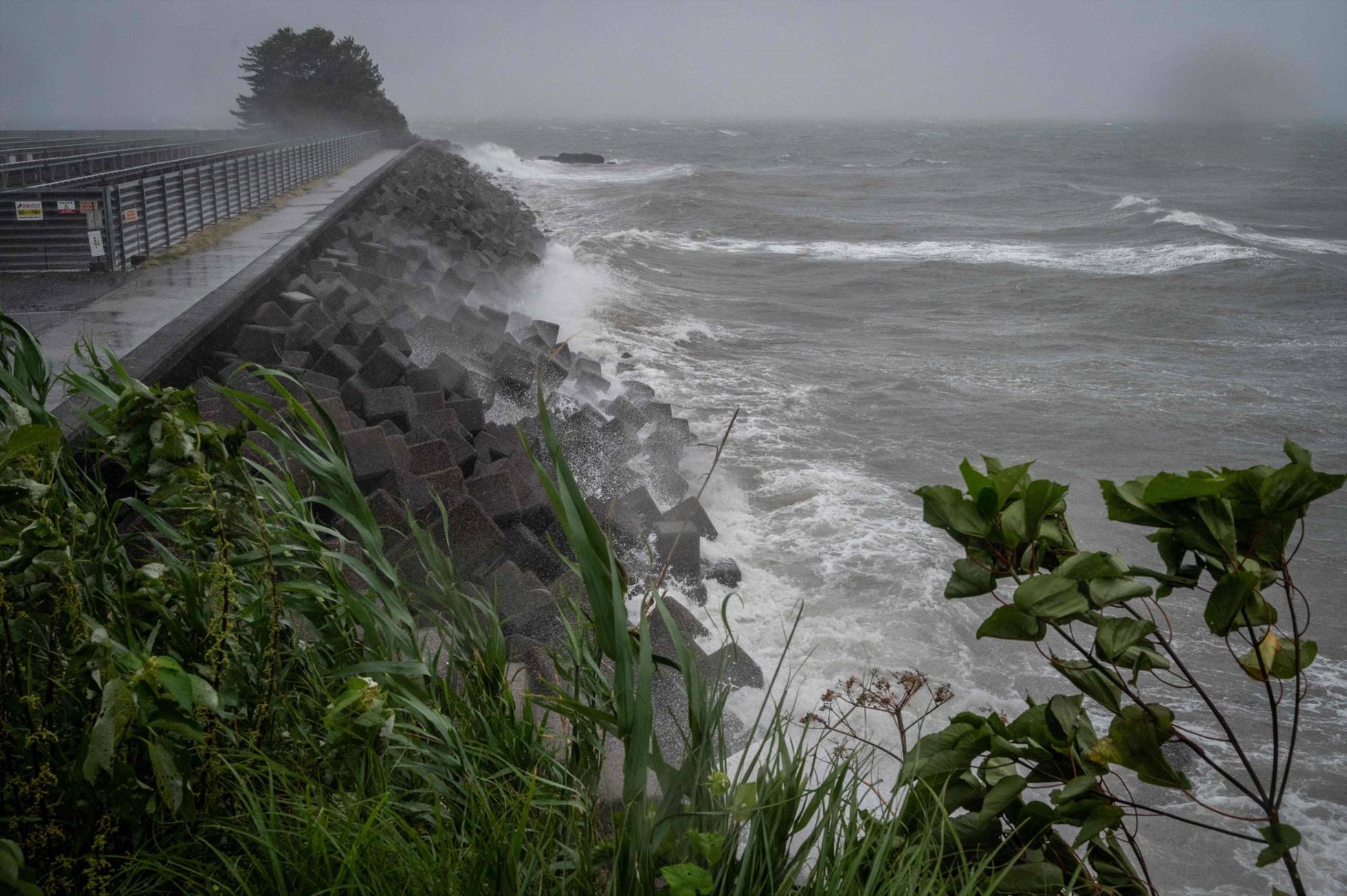 Bão Nanmadol đổ bộ Nhật Bản đêm 18.9. Ảnh: AFP