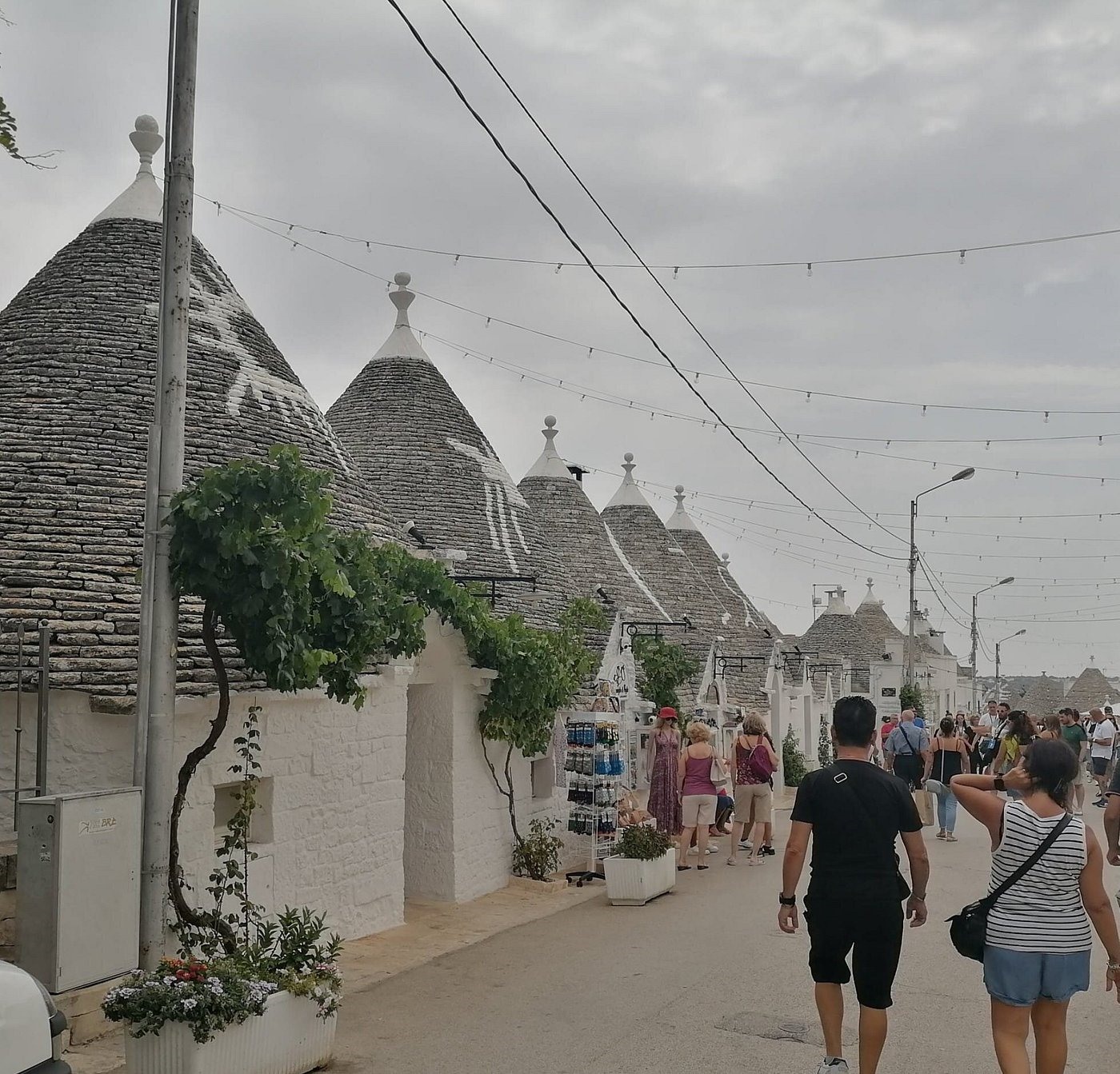 Alberobello, thuộc vùng Puglia, miền nam nước Ý, là một điểm đến kỳ lạ và đẹp như tranh vẽ. Nơi đây đã trở thành điểm du lịch lý tưởng cho du khách từ khắp nơi trên thế giới.