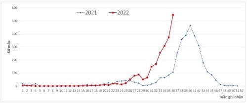 Biểu đồ phân bố số ca mắc/nghi mắc sốt xuất huyết theo tuần, năm 2021- 2022 ở Hà Nội. Ảnh: CDC Hà Nội