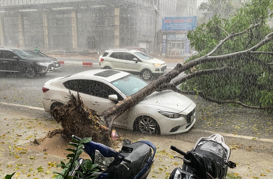 Hà Nội xuất hiện cơn mưa rất lớn đầu giờ chiều qua kèm gió mạnh. Một số cây xanh đã bị bật gốc, đổ ra đường. Trong ảnh là một cây xanh trên đường Láng Hạ (Đống Đa, Hà Nội) đổ đè lên xe ôtô.