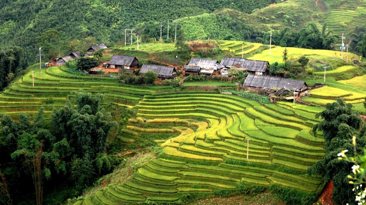 Hoàng Du Phì đang là điểm đến hot cho du khách tháng 9 vì vào mùa lúa chín. Ảnh: Mr Linh’s Adventures