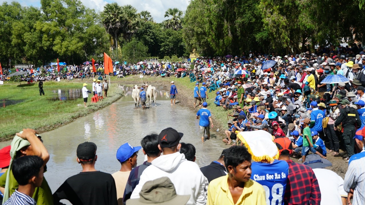 Sáng 24.9, Hội đua bò Bảy Núi tranh cúp Truyền hình An Giang lần thứ 27 năm 2022 đã chính thức được khởi tranh trong không khí sôi nổi, phấn khởi nhân dịp Lễ Senl Đôlta của đồng bào dân tộc Khmer, hướng đến kỷ niệm 190 năm thành lập tỉnh An Giang.