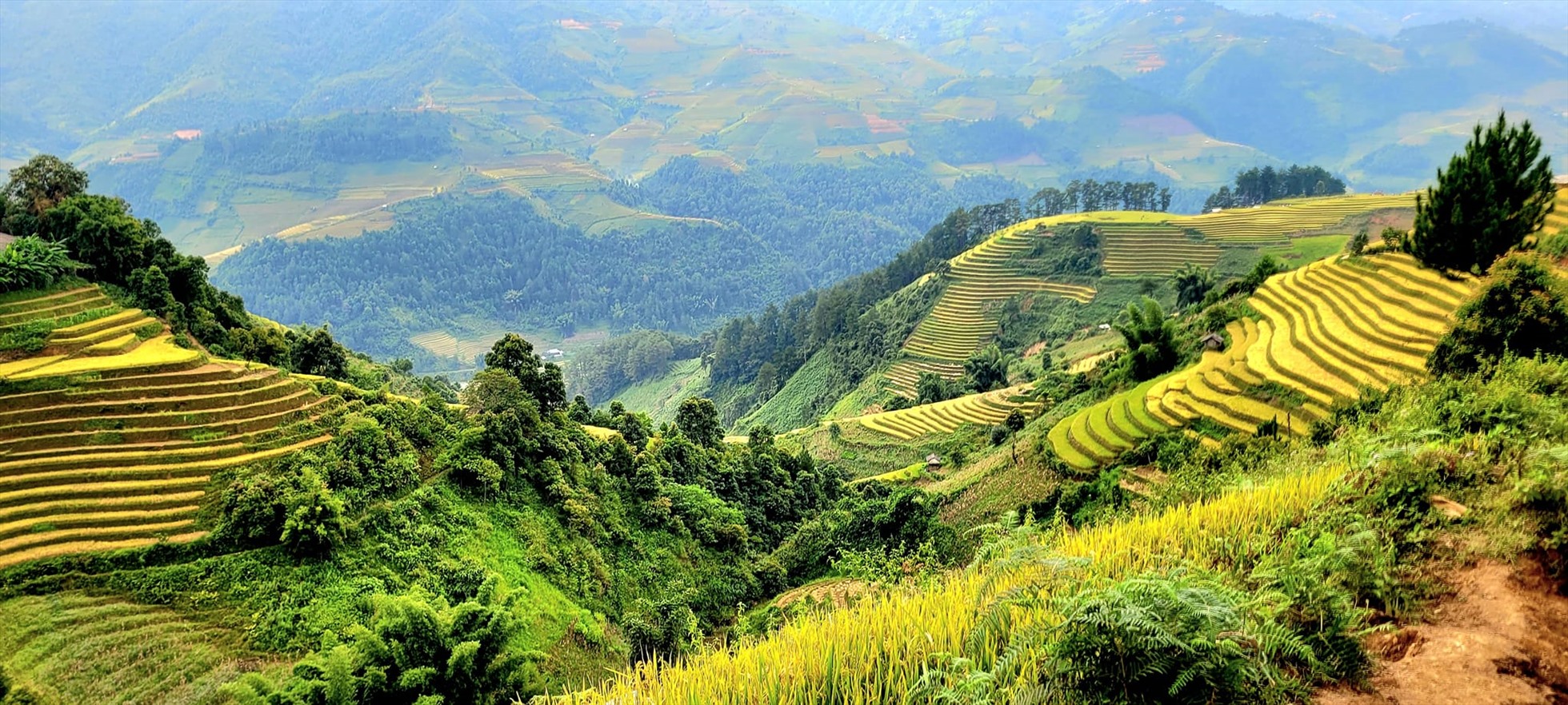 Trong suốt hành trình, vận động viên được ngắm nhìn cảnh sắc tuyệt đẹp với những thửa ruộng bậc thang vàng óng trải dài trên các sườn đồi.