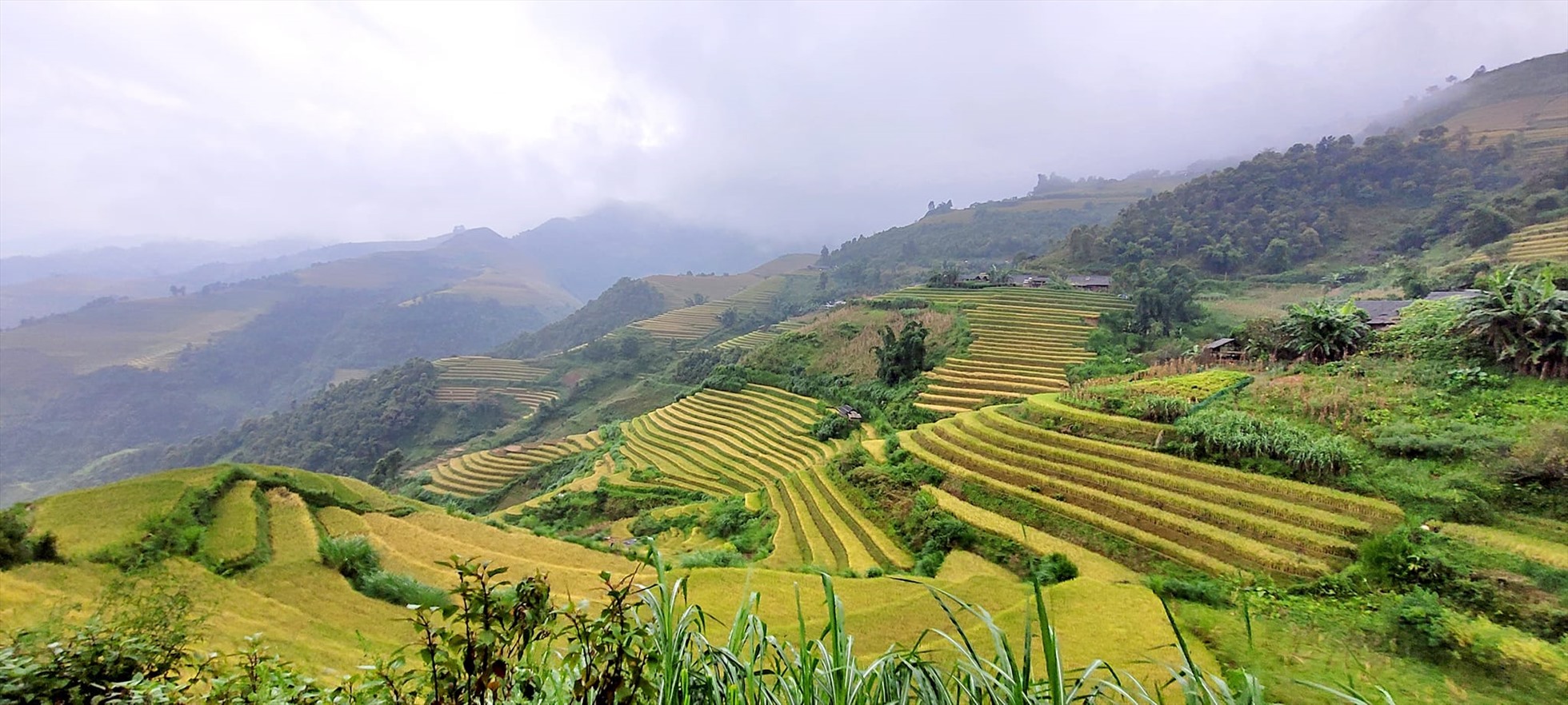 Mù Cang Chải là huyện vùng cao nằm ở phía Tây của tỉnh Yên Bái, cách trung tâm thành phố khoảng 180km, cách Hà Nội hơn 300km về phía Tây Bắc. Mùa vàng ở Mù Cang Chải bắt đầu từ tháng 9, cảnh sắc thiên nhiên tuyệt đẹp từ những thửa ruộng bậc thang rải khắp các sườn đồi thu hút khách du lịch thập phương.