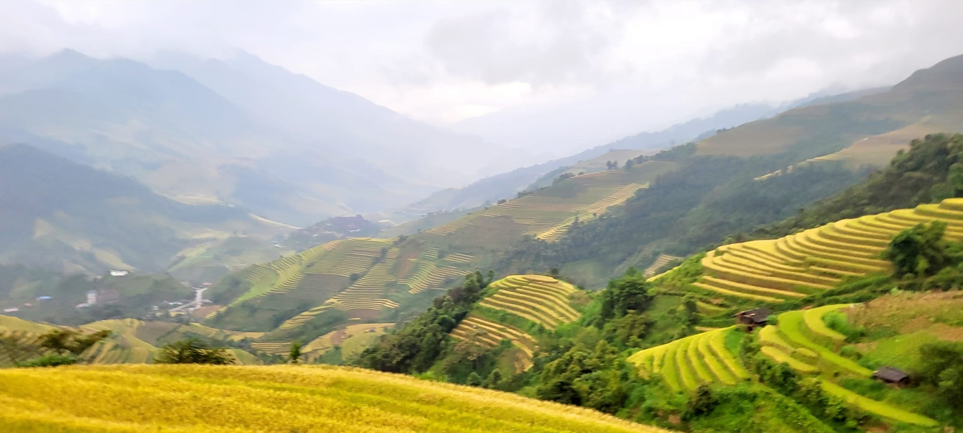 MCC Ultra Trail bao gồm các cự ly 15km, 25km và 50km sẽ phù hợp cho những người mới trải nghiệm chạy trail cũng như những vận động viên nhiều kinh nghiệm.