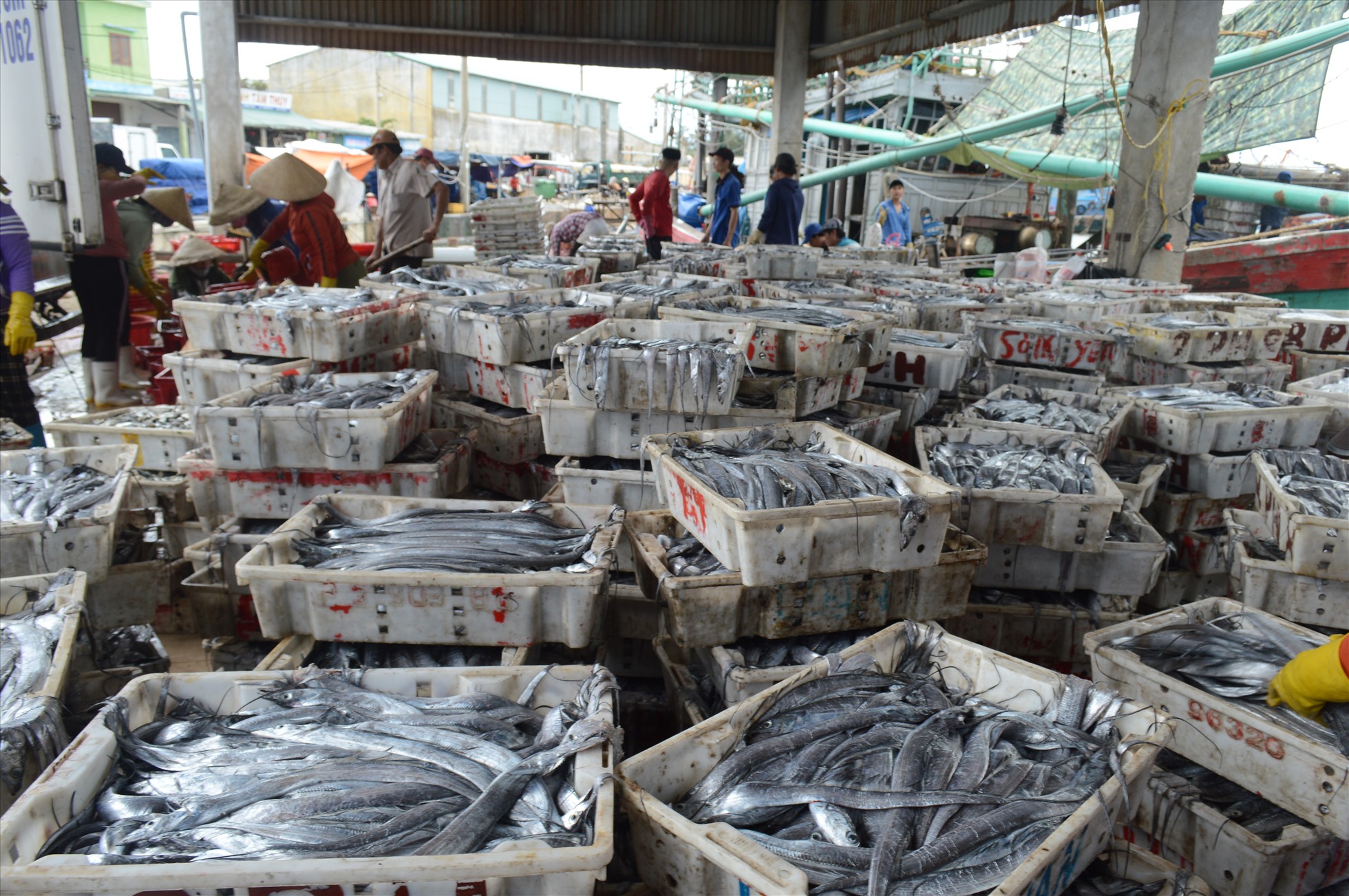 Lượng tàu thuyền vào các cảng cá ở Quảng Ngãi bán hải sản “chạy” bão tăng đột biến, nên giá hải sản giảm hơn so với thường ngày.