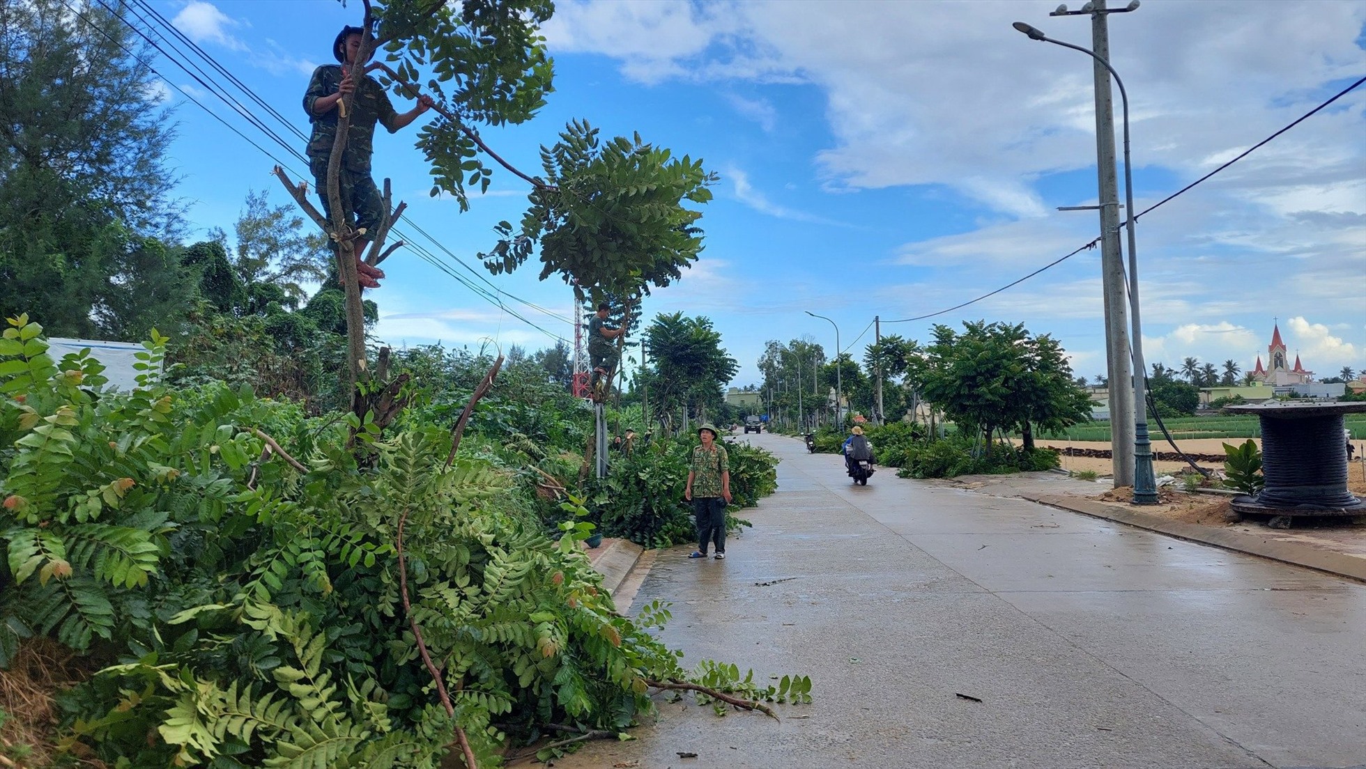 Ban CHQS huyện Lý Sơn cắt tỉa cây xanh, phòng chống siêu bão Noru.