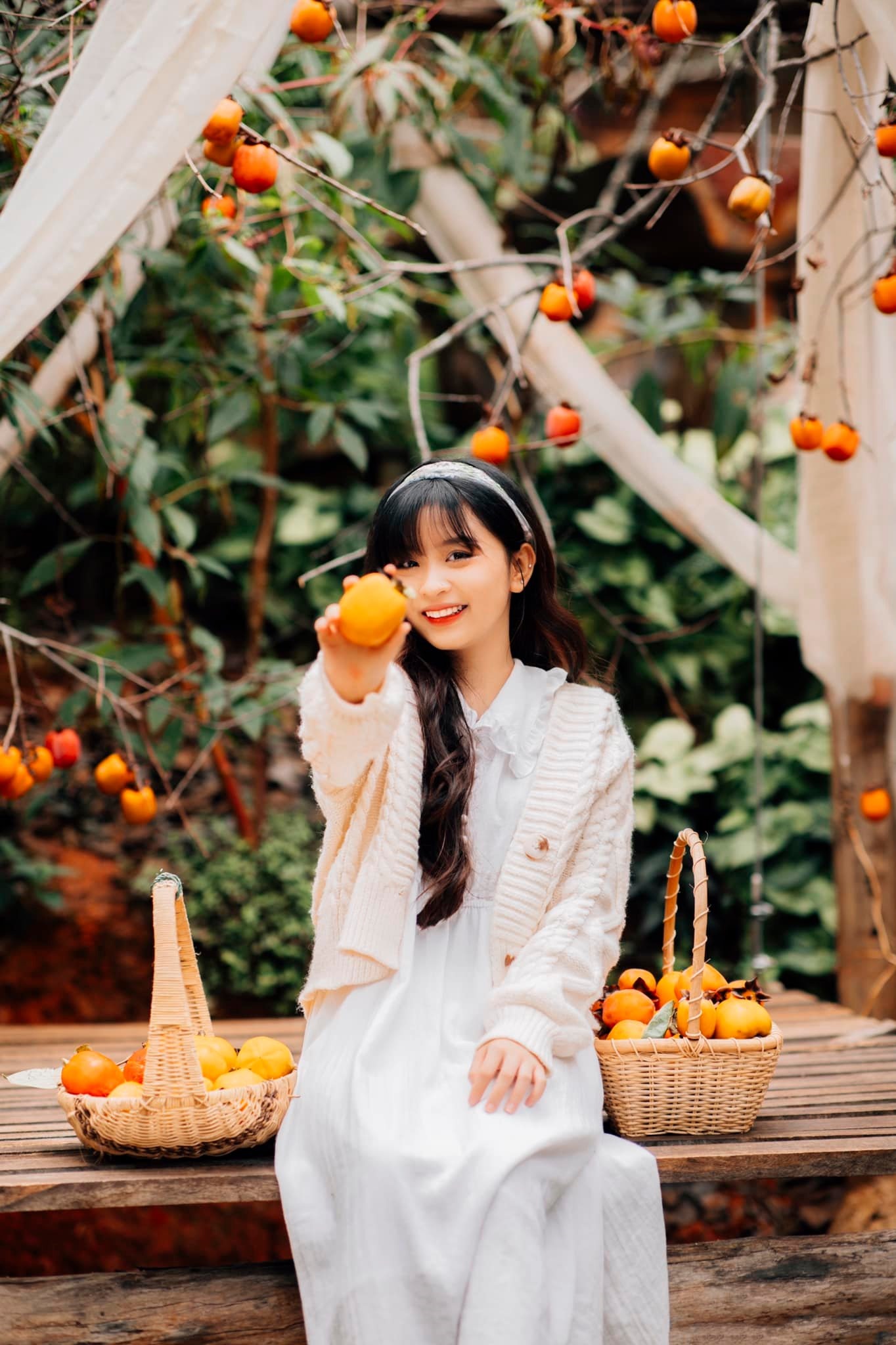 Ở Đà Lạt hiện có khoảng vài chục giống hồng nhưng phổ biến và được mọi người biết đến nhiều hơn cả là hồng trứng lốc, đầu bằng, trứng láng, Chín Nên, trứng lửa, hồng Bomson, hồng Tám Hải, hồng vuông (hay còn đc gọi là hồng chén),...