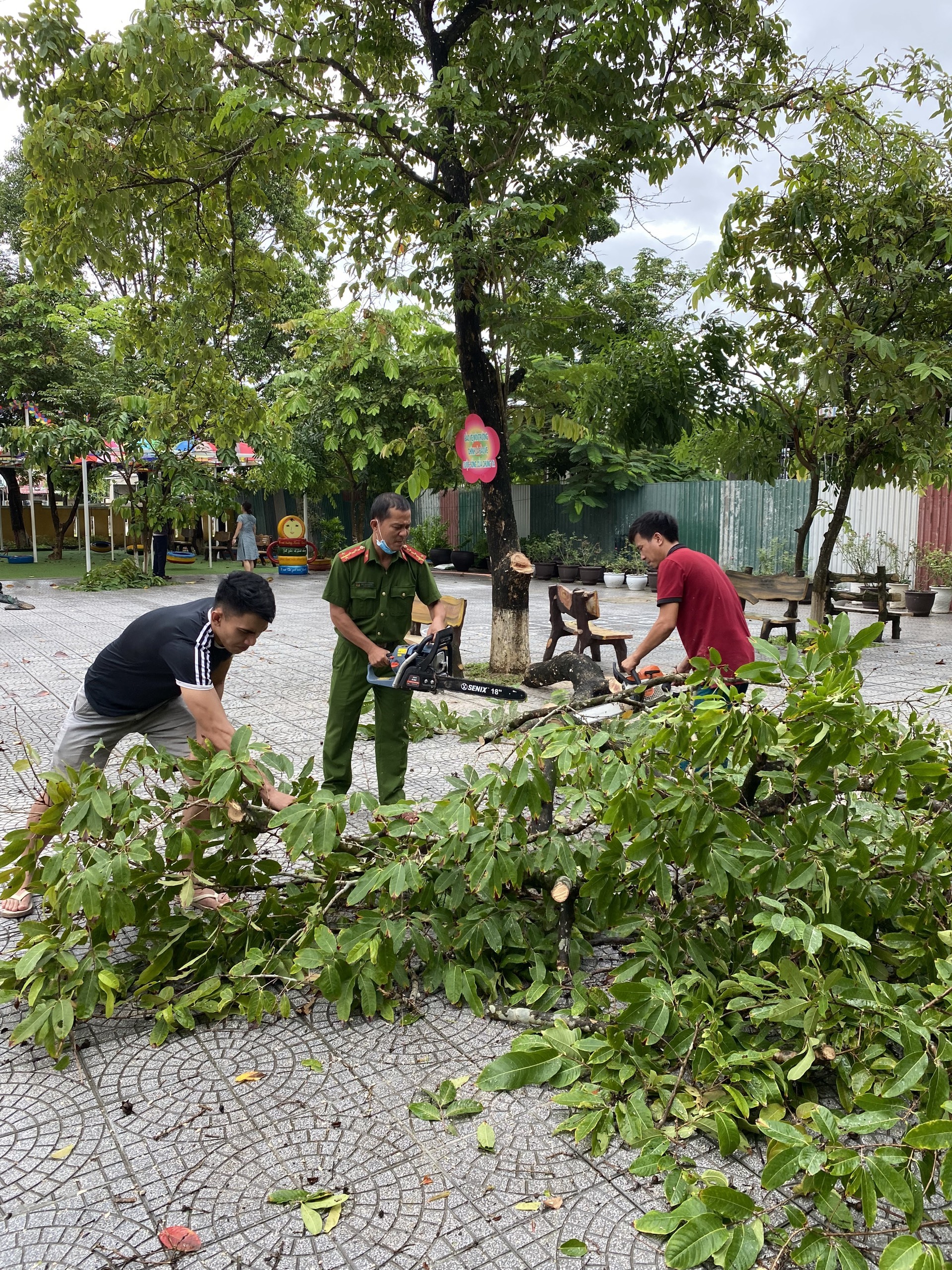 Tại TP. Huế, lực lượng công an các phường hỗ trợ các trường học, người dân cắt tủa cây xanh tránh gãy đổ do ảnh hưởng bão Noru.
