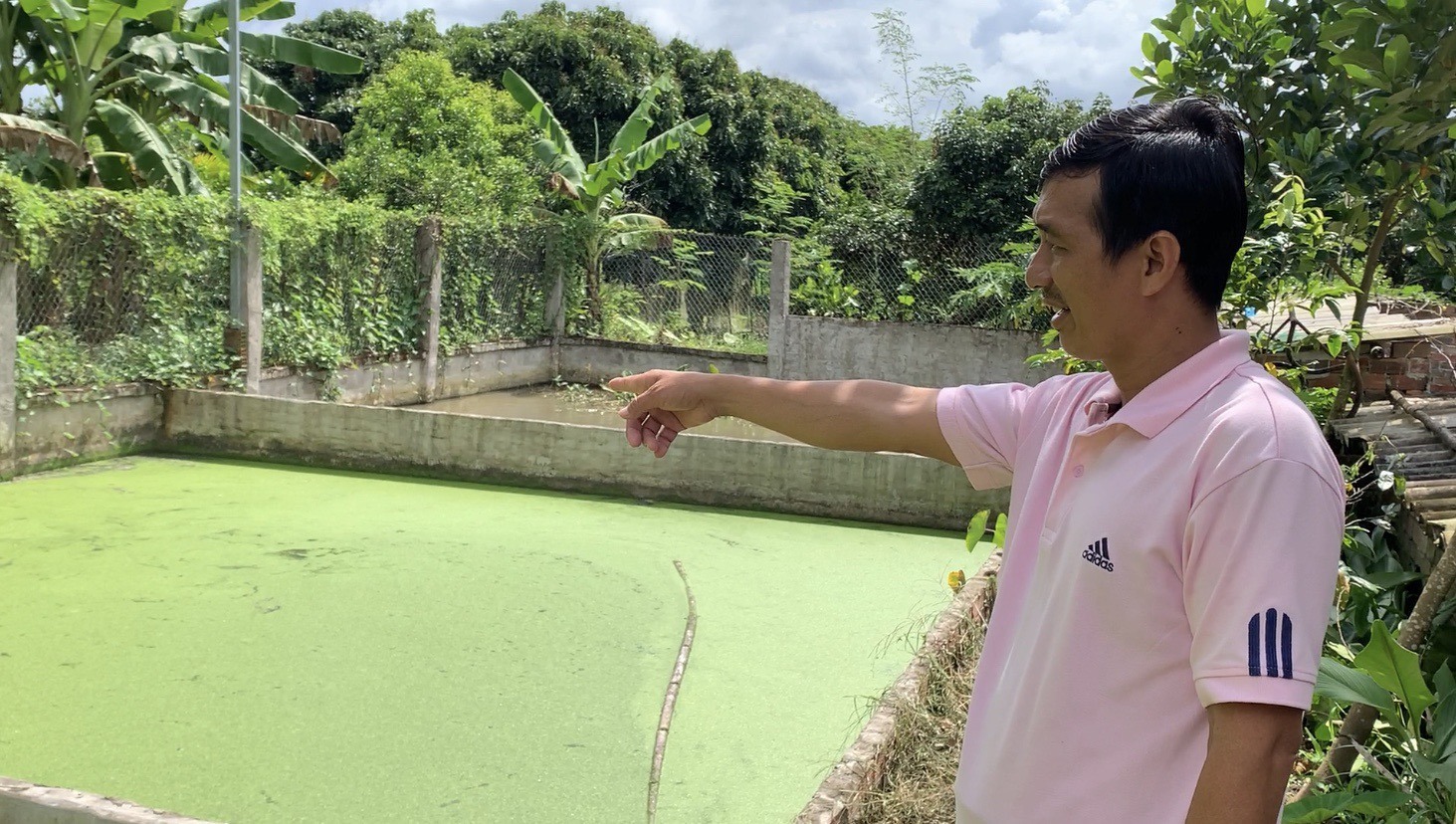 Kinh nghiệm thoát nghèo, kiếm thu nhập tiền tỉ của nông dân Cần Thơ