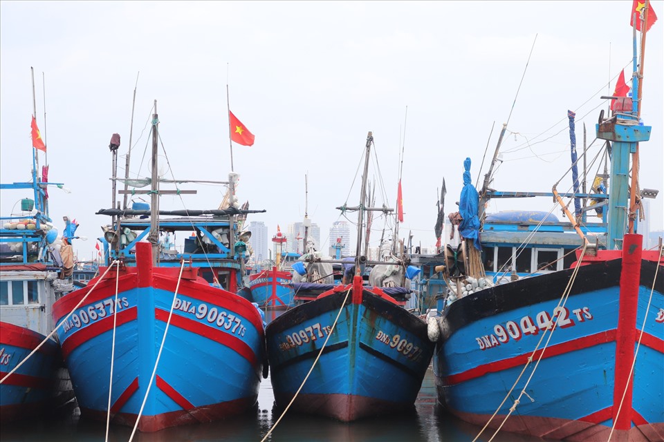 Hiện có 177 tàu cá/1.398 ngư dân đang hoạt động trong vùng nguy hiểm của bão số 4, trong đó Đà Nẵng 7 tàu/45 ngư dân; Quảng Nam 18 tàu/213 ngư dân; Quảng Ngãi 87 tàu/684 ngư dân; Bình Định 65 tàu/456 ngư dân.