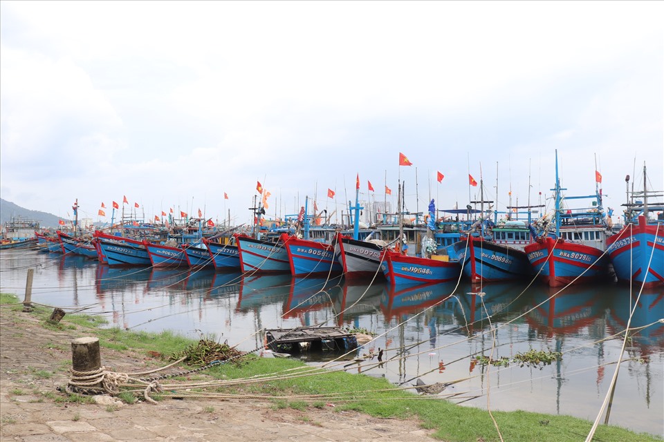 Đa số tàu thuyền đều đã được neo đậu kĩ càng tại Âu thuyền Thọ Quang.