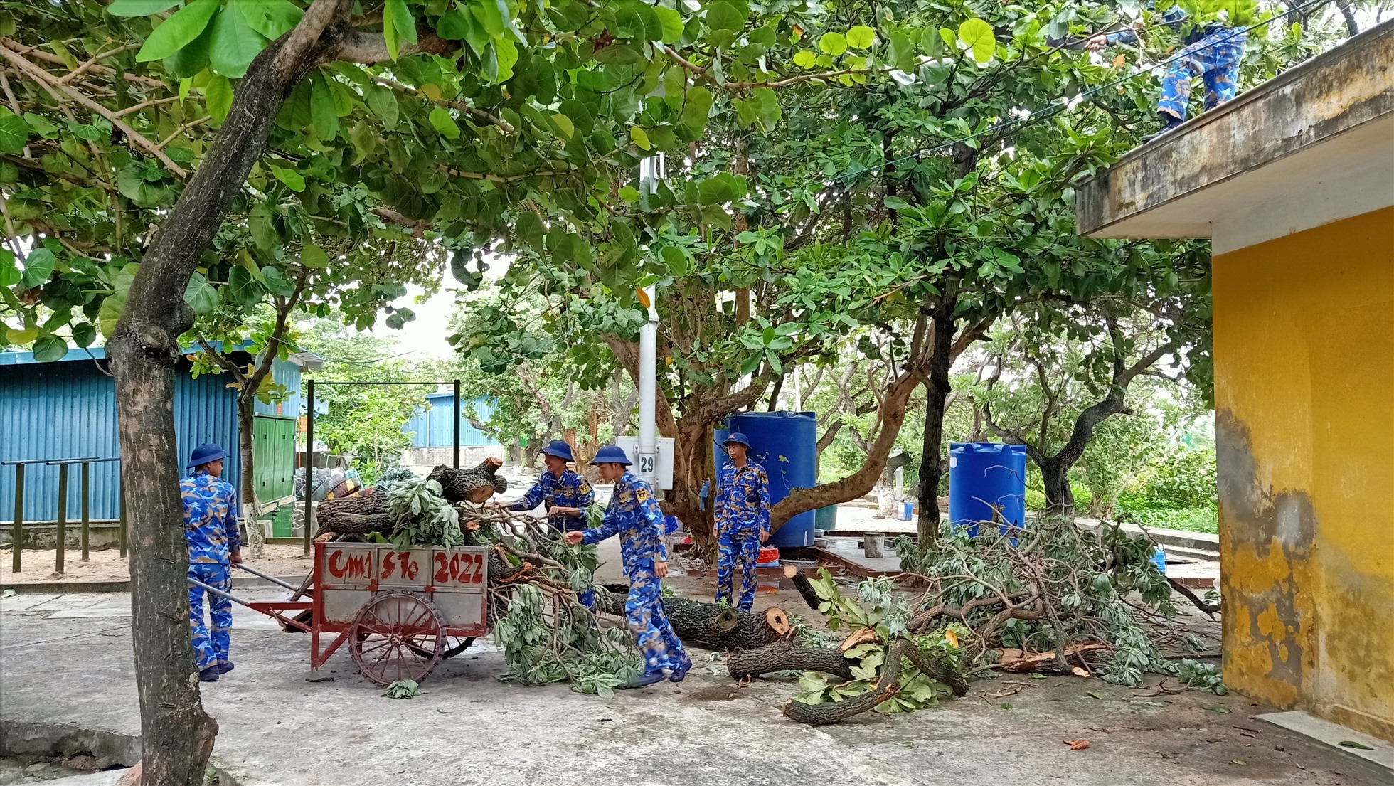 Quân dân huyện đảo Trường Sa cắt tỉa cây xanh phòng, chống bão Noru. Ảnh: N.Ninh