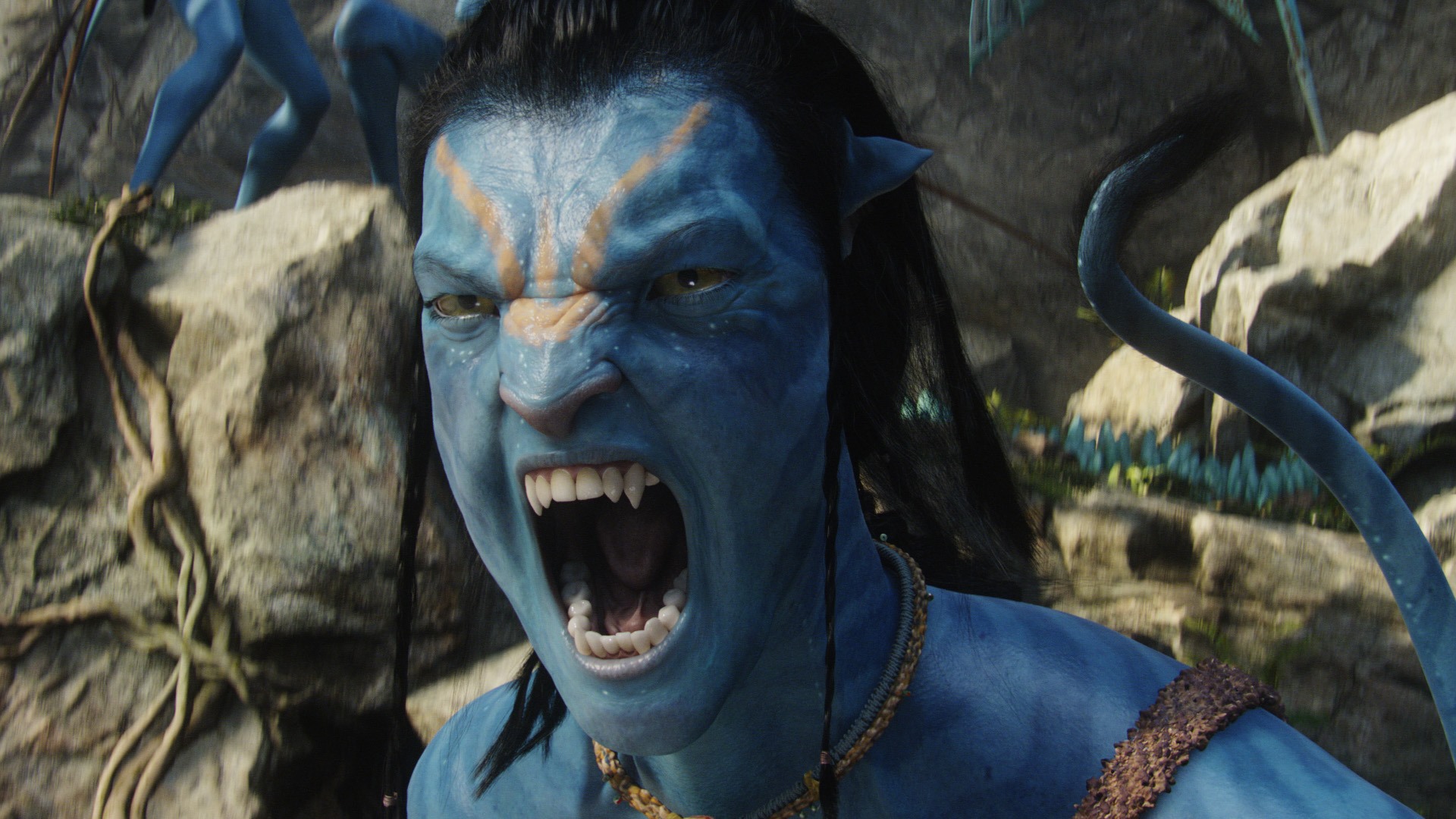 Avatar sai 13 năm vẫn còn sức hút. Ảnh: NSX.