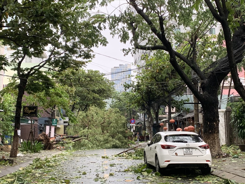 Dù không thiệt hại về người, nhưng đường phố Đà Nẵng tan hoang sau bão với nhiều cây xanh bị ngã đổ