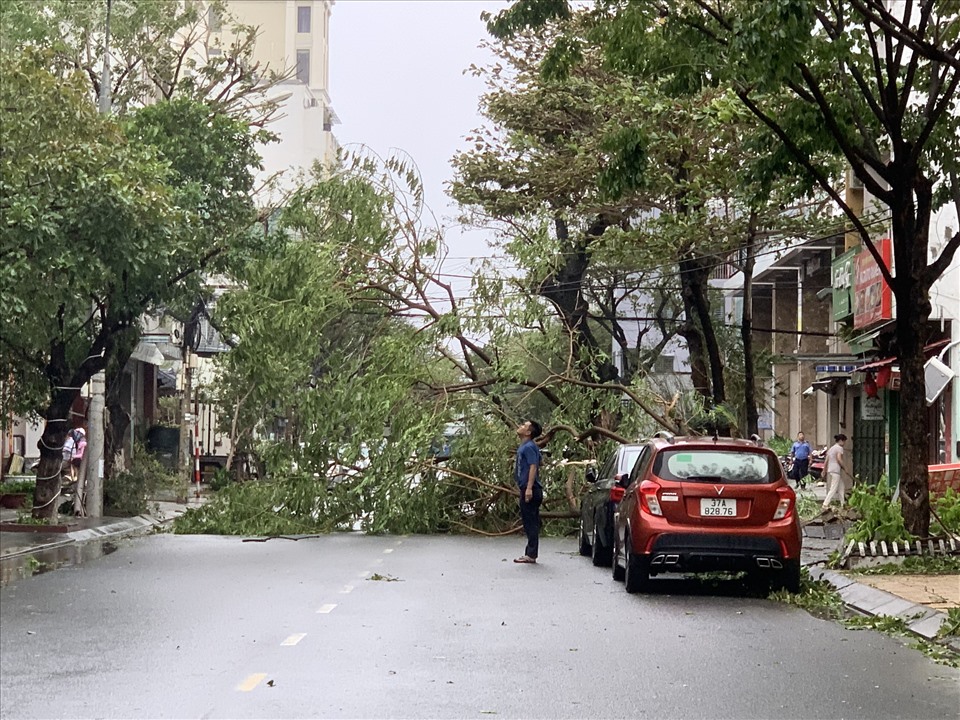 Dù không thiệt hại về người, nhưng đường phố Đà Nẵng tan hoang sau bão với nhiều cây xanh bị ngã đổ