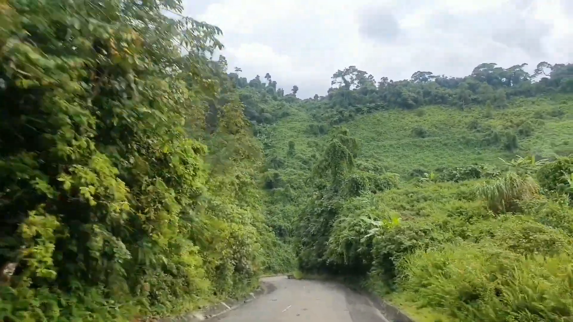 Khung cảnh xanh mát suốt dọc đường đi.