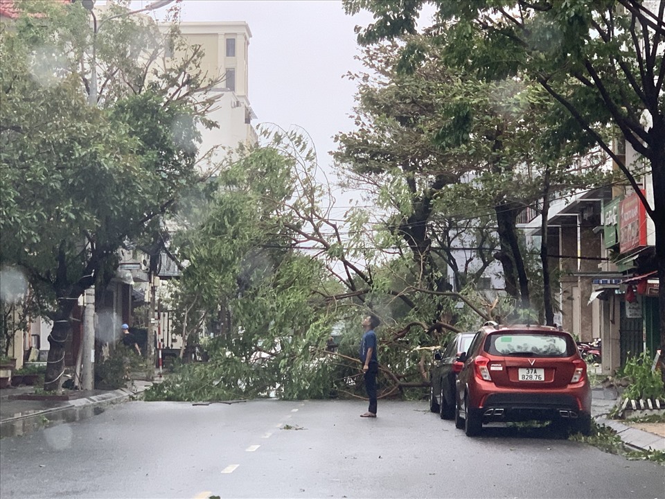Hàng chục cây xanh ngã ra đường sau khi bão Noru đổ bộ.
