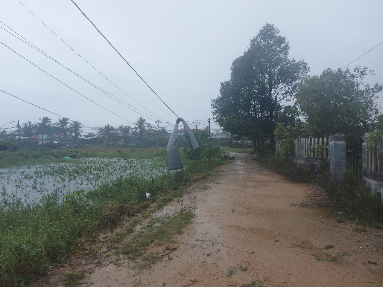 Một mảnh tôn bị gió xé hất bay treo lơ lửng trên dây điện ở phường An Hòa. Ảnh: Trần Tuấn.