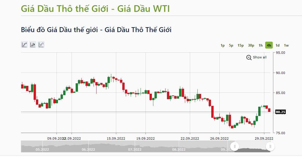 Giá dầu thô ngọt nhẹ Mỹ (WTI) kết thúc phiên với mức tăng 3,65 USD (4,7%) lên 80,25 USD/thùng.