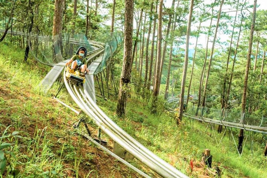 Đường trượt uốn lượt quanh núi rừng. Ảnh: Datanla High Rope Course.