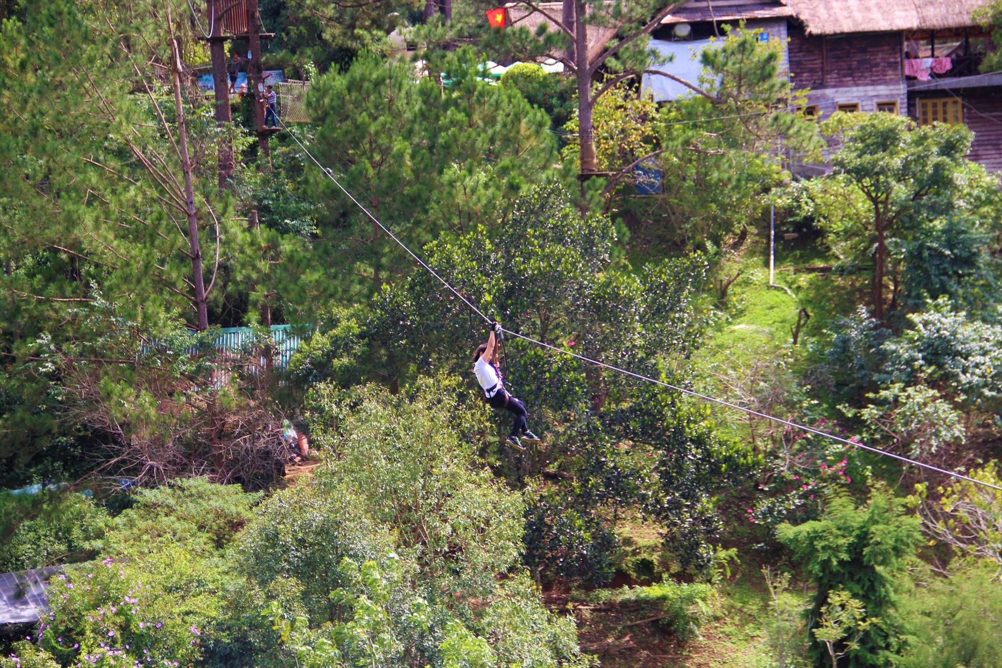 Đu dây zipline là trải nghiệm tuyệt vời giữa rừng thông Đà Lạt. Ảnh: Datanla High Rope Course.