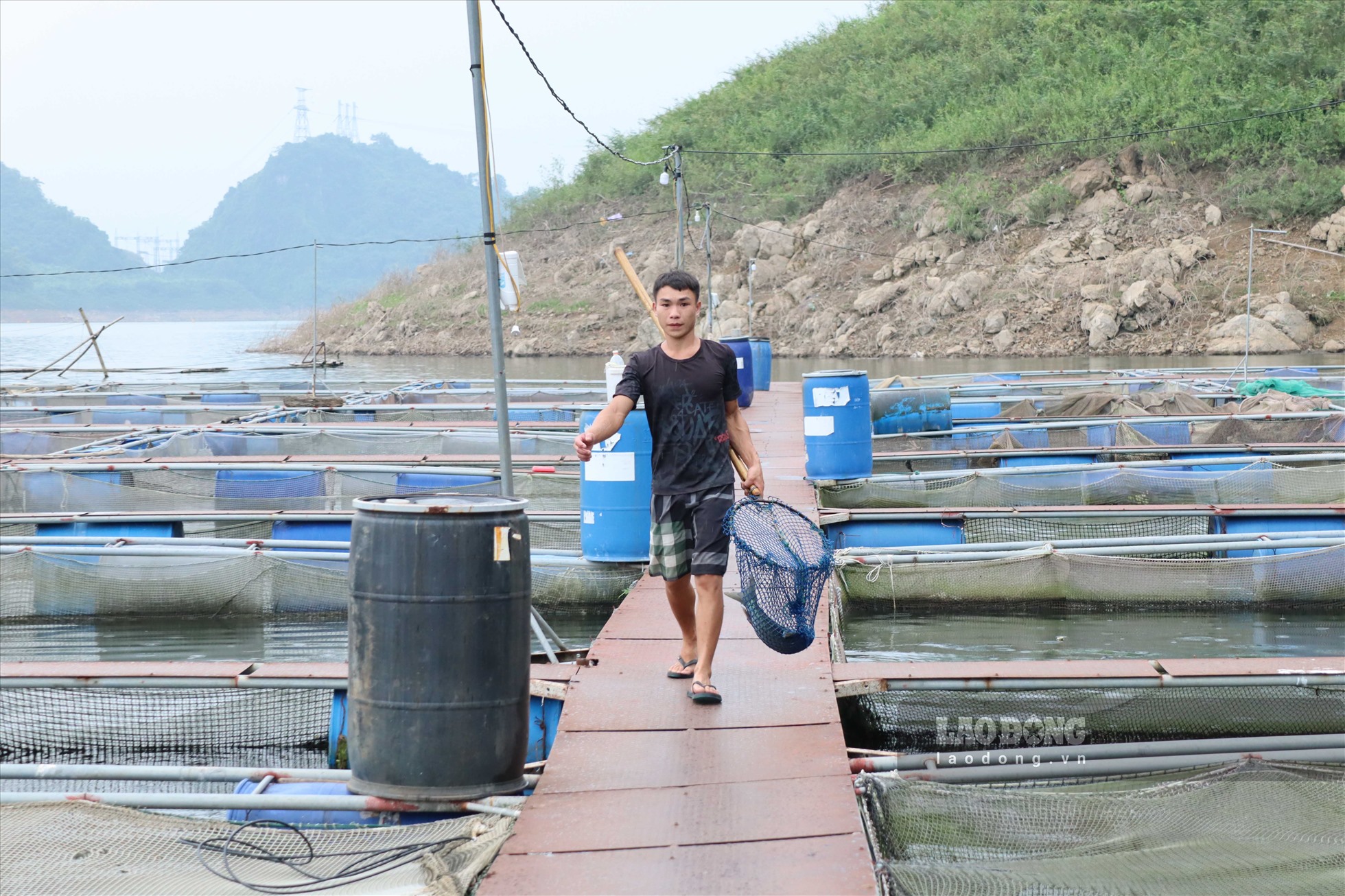 Phát triển nuôi cá lồng vùng hồ cũng đã tạo việc làm và thu nhập ổn định cho hơn 5.000 lao động. Từ đó, nâng cao chất lượng đời sống của người dân vùng lòng hồ Hòa Bình.