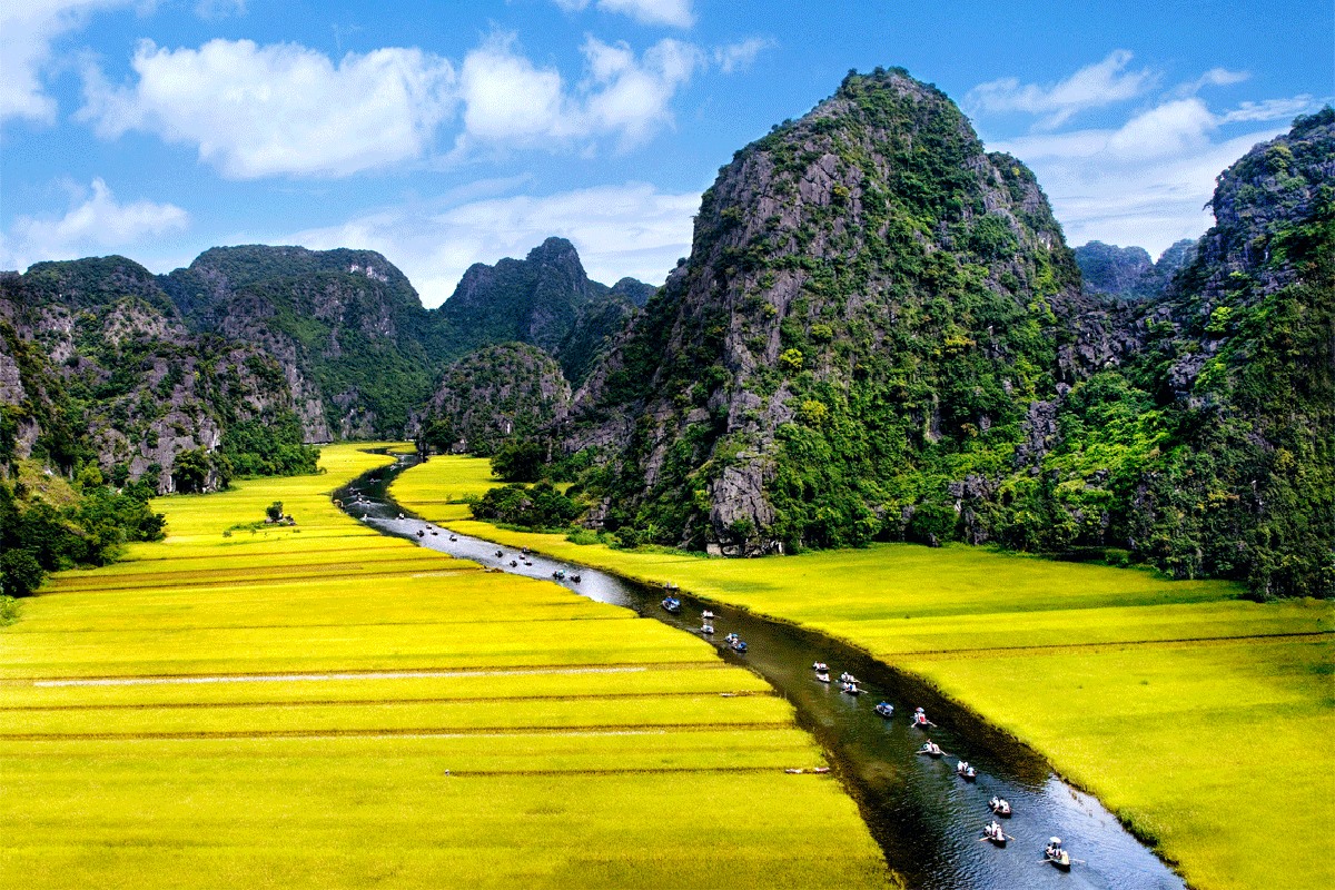 Vẻ đẹp của Tam Cốc mùa lúa chín. Ảnh: Vacation Travel