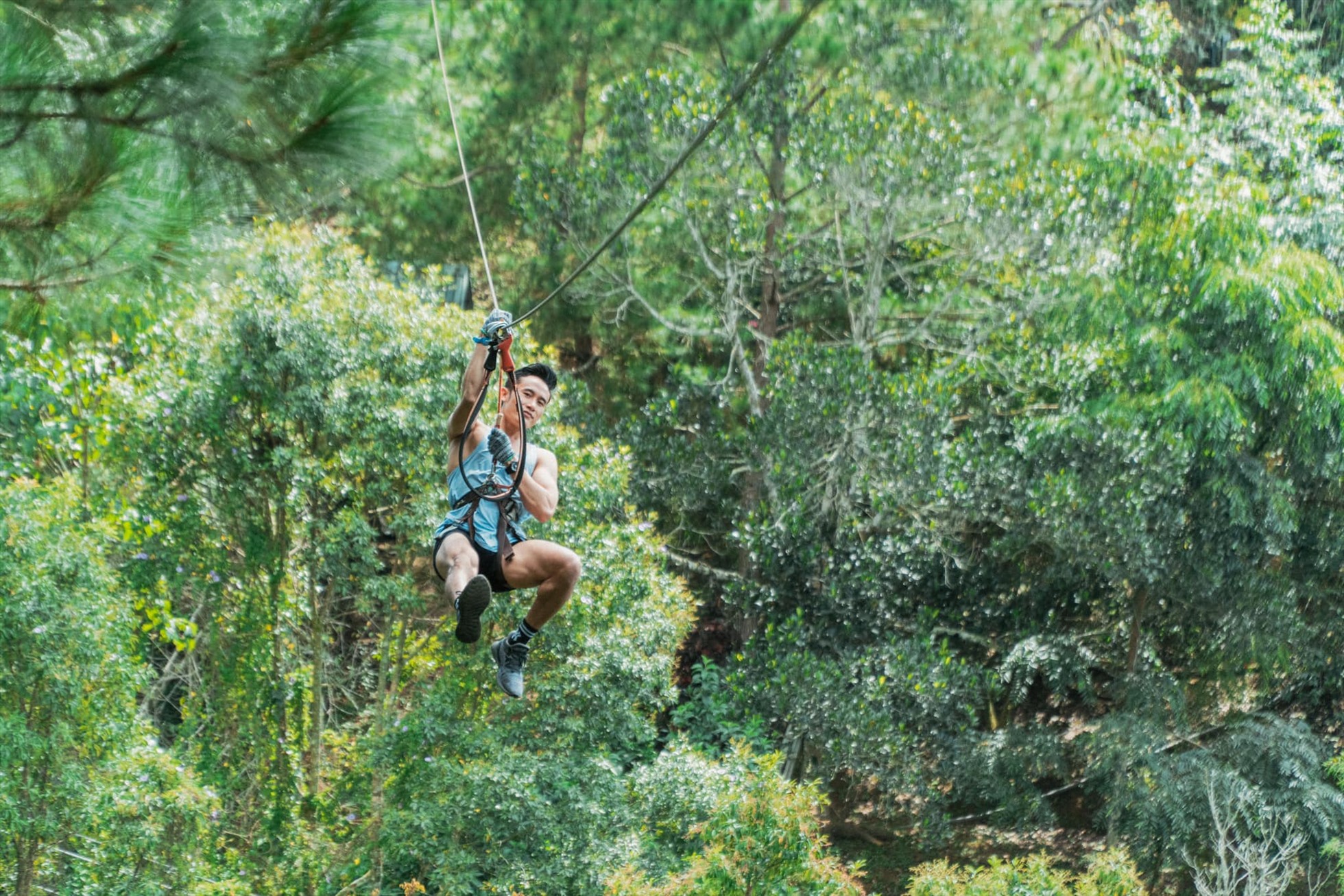 Ảnh: Datanla High Rope Course – Hành Trình Trên Cao