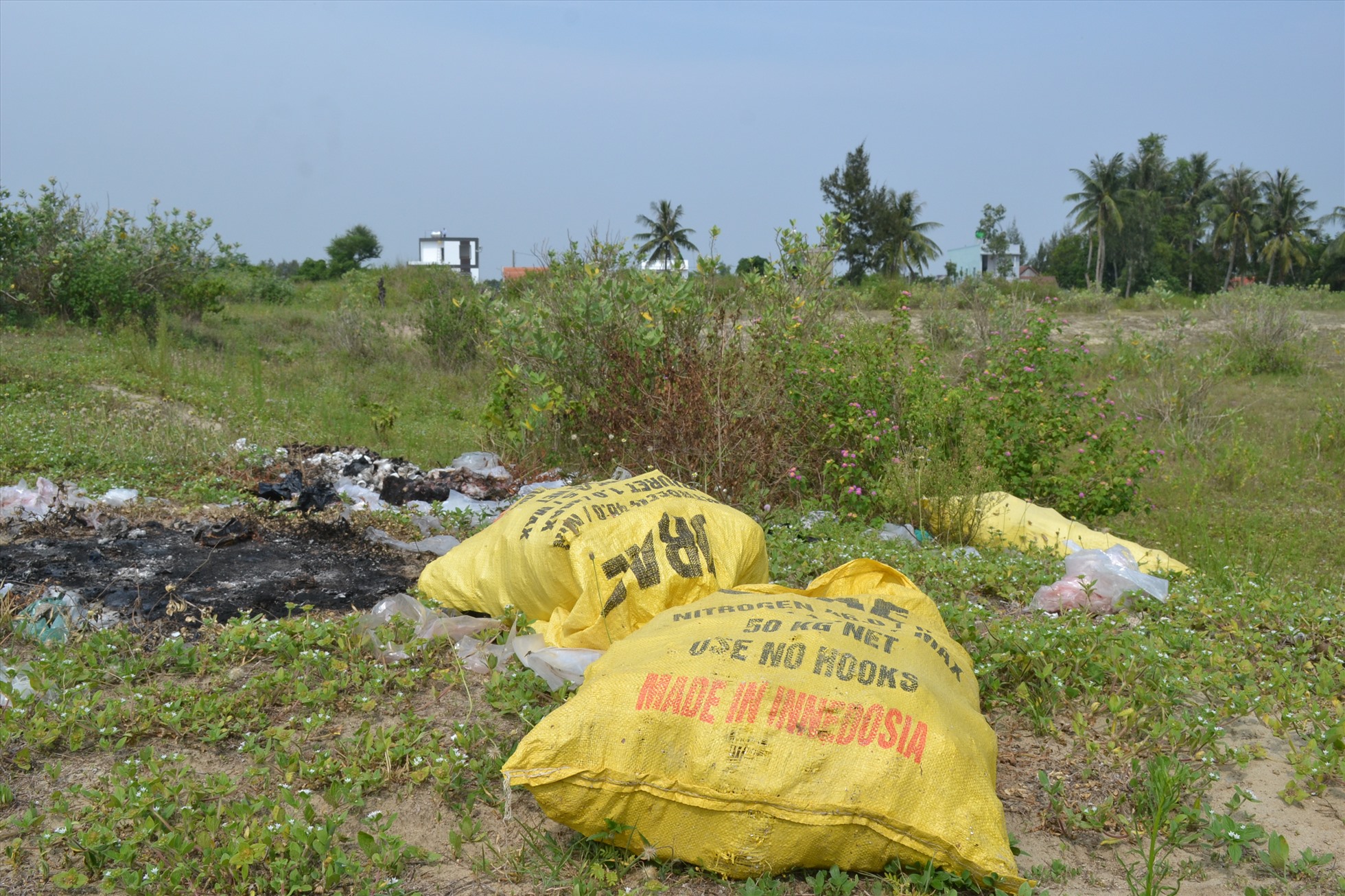 Nhiều người dân vứt rác thải ngay trong khuôn viên các dự án phát triển du lịch bỏ hoang.