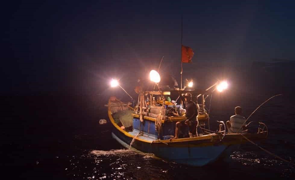 Câu mực đêm ở Hạ Long. Ảnh:VivuHalong