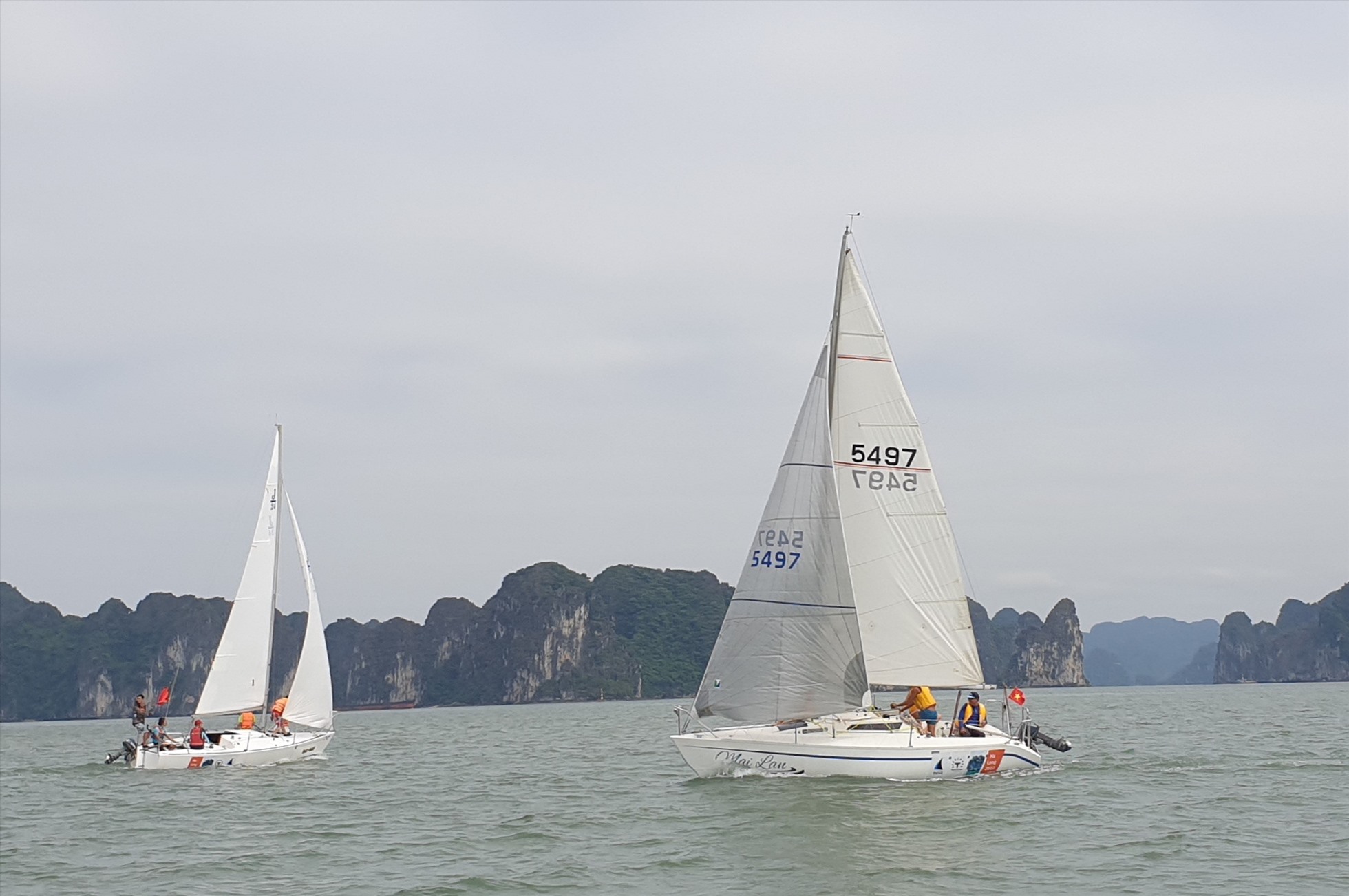Những cánh thuyền buồm xuất hiện trên vịnh Hạ Long khiến du khách thích thú. Ảnh: Nguyễn Hùng