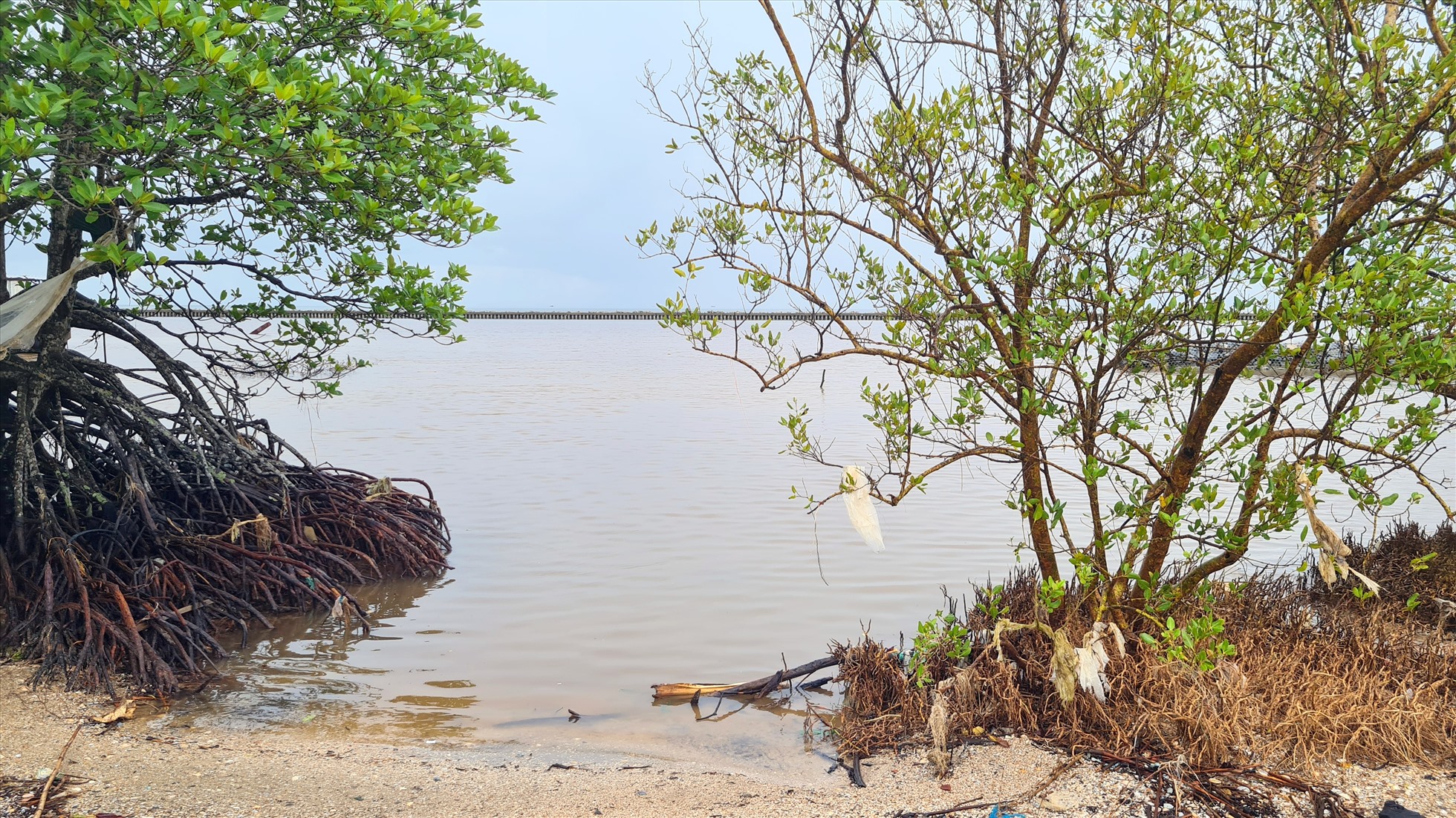 Biến đổi khí hậu, sạt lở bờ biển luôn là thách thức đối với tỉnh Cà Mau. Ảnh: Nhật Hồ