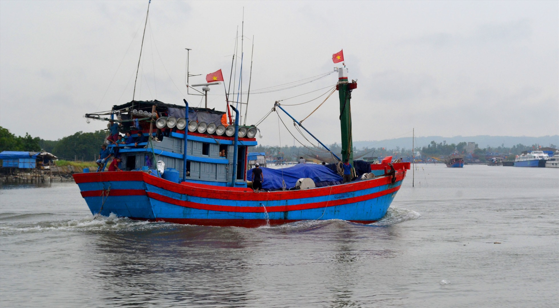Những ngày này, nhiều tàu cá của ngư dân Quảng Ngãi cập cảng Tịnh Kỳ (TP.Quảng Ngãi), Sa Kỳ ( huyện Bình Sơn) để bán hải sản.