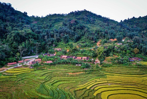 Ruộng bậc thang uốn lượn, trải dài. Ảnh: Du lịch Cao Bằng.