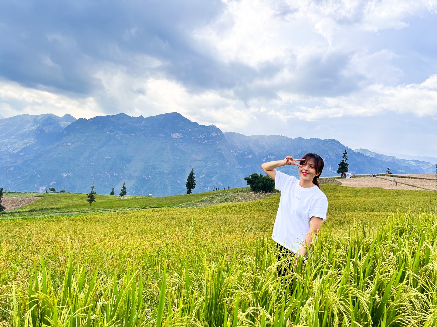 Huyền chia sẻ, con đường rẽ vào thảo nguyên khá khó đi: Đoạn đầu nhiều đá nhỏ, dễ trượt bánh xe; đoạn sau là đường bê tông nhưng nhiều dốc cao, uốn lượn. “Mình và chị gái vốn không quen đường, tay lái chưa cứng nên mình thuê xe ôm bản địa“, Huyền cho biết. “Cung đường vào giữa thảo nguyên hơi vất vả nhưng khung cảnh vô cùng đẹp. Tới đây, mình mới cảm nhận hết được vẻ đẹp Suôi Thầu, nét đẹp mang đặc trưng vùng núi phía Bắc với ruộng bậc thang đang chuyển vàng, tam giác mạch đầu mùa...“, Huyền nói thêm.