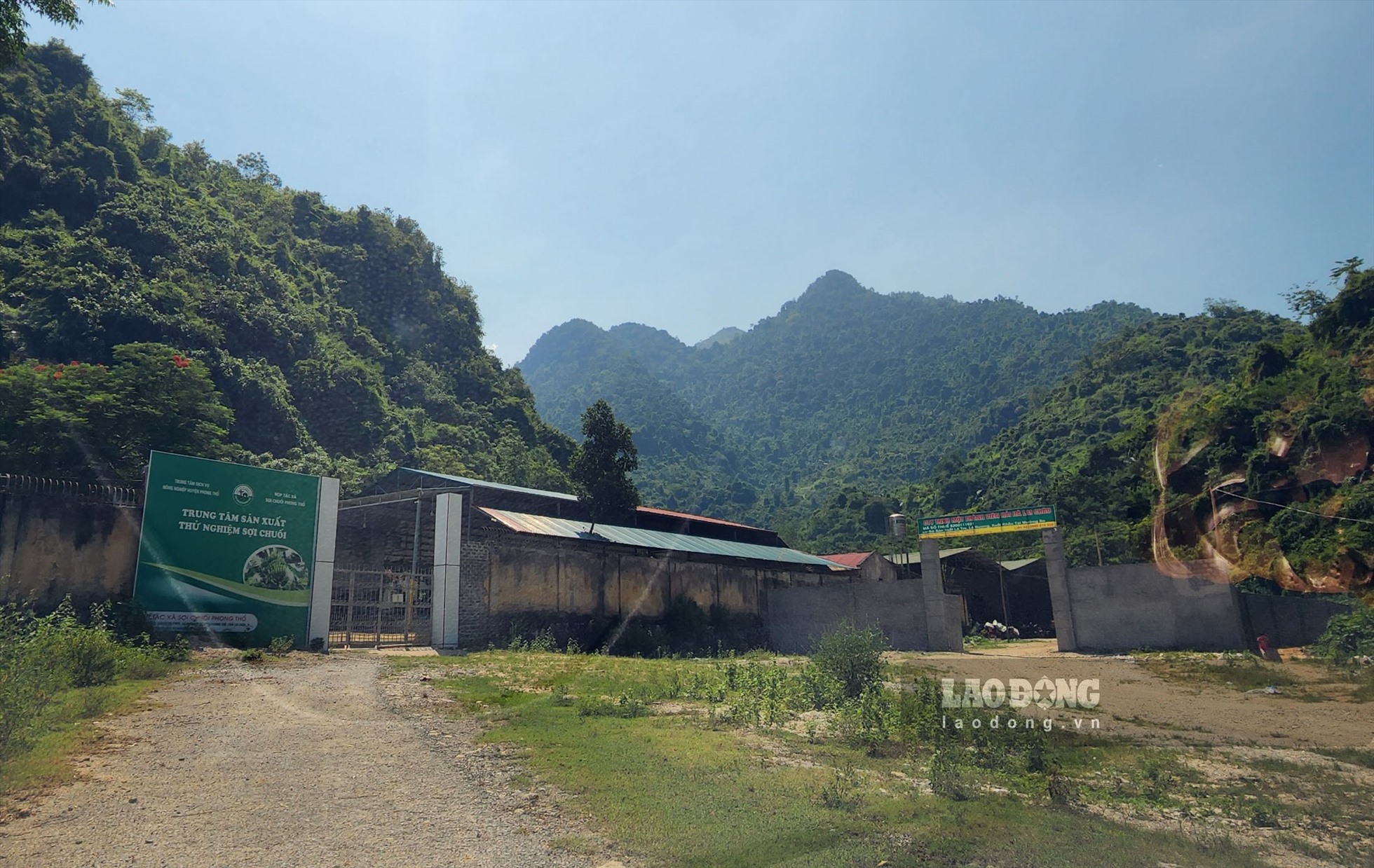 Bên ngoài khu đất của TTDVNN Phong Thổ đã được 2 doanh nghiệp dựng bảng biển tên. Ảnh: LN.