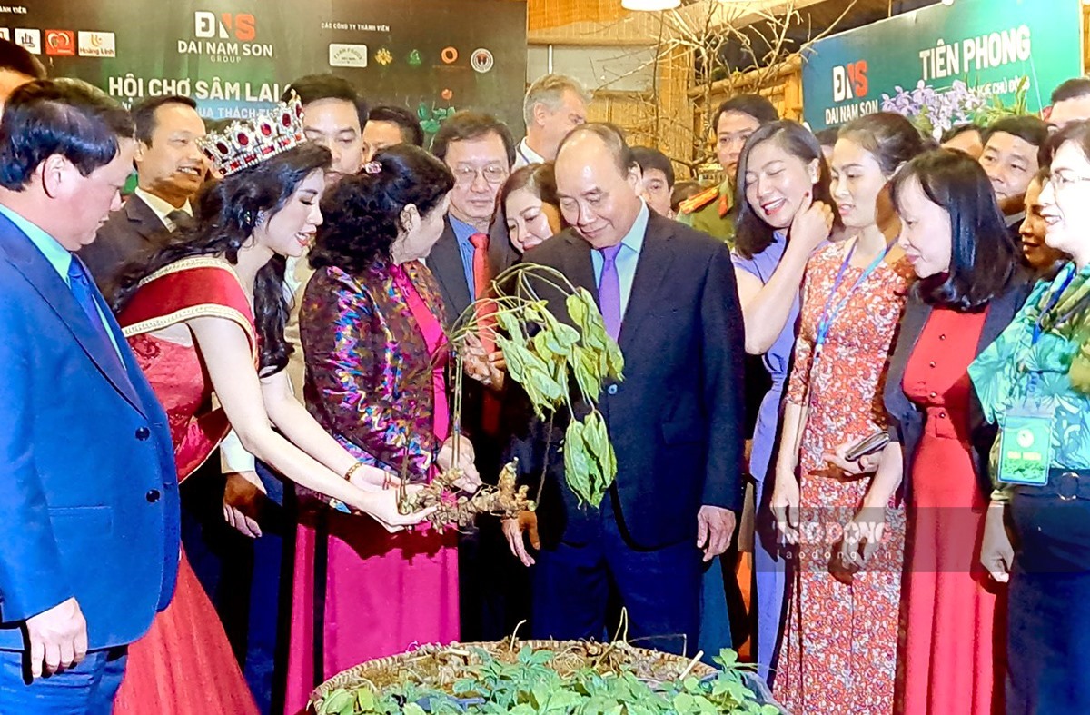 Chủ tịch nước Nguyễn Xuân Phúc tham quan gian hàng trưng bày tại Hội chợ sâm Lai Châu.