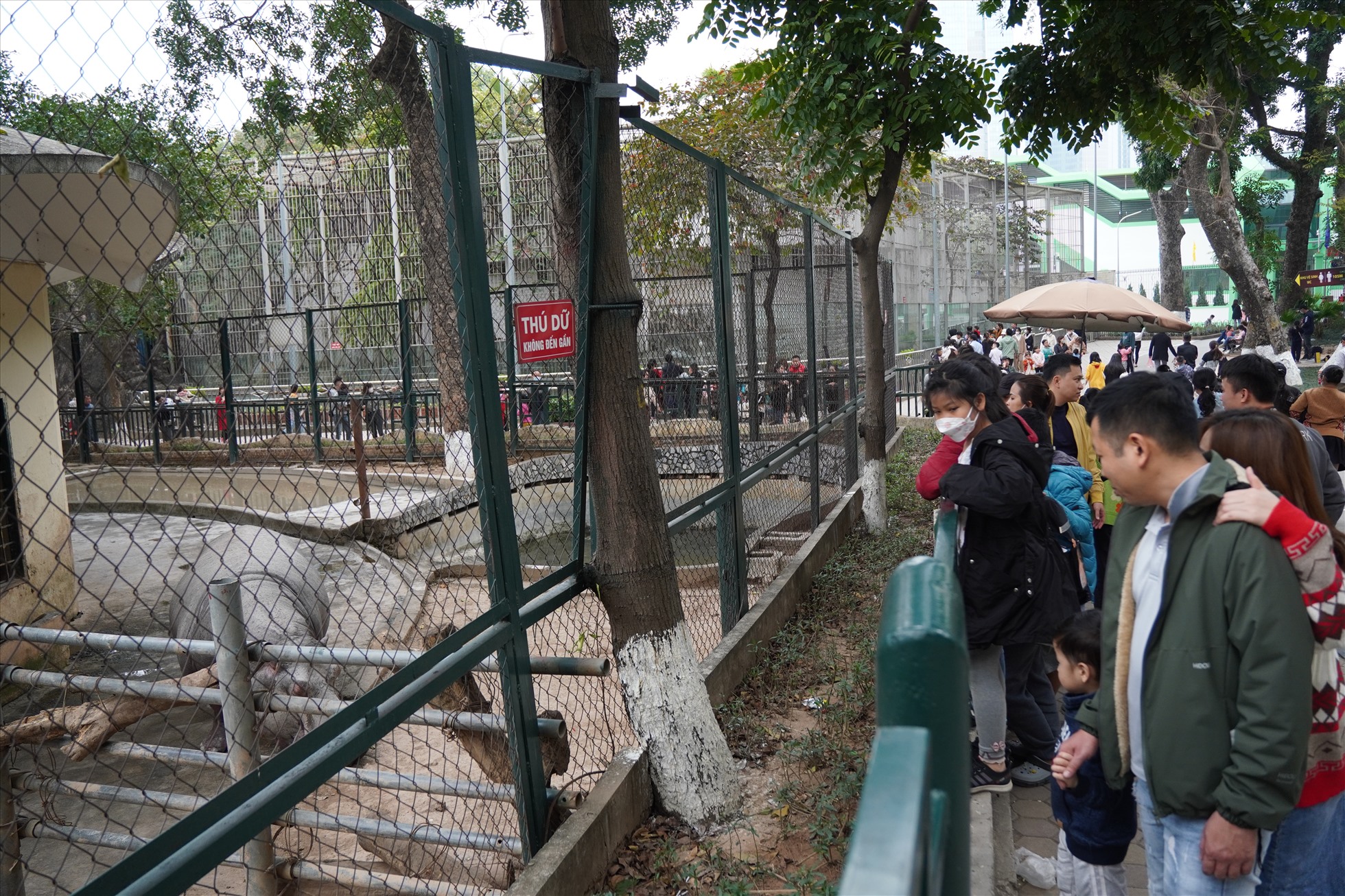 Khu vực vườn thú luôn đón lượng khách tham quan đông nhất.