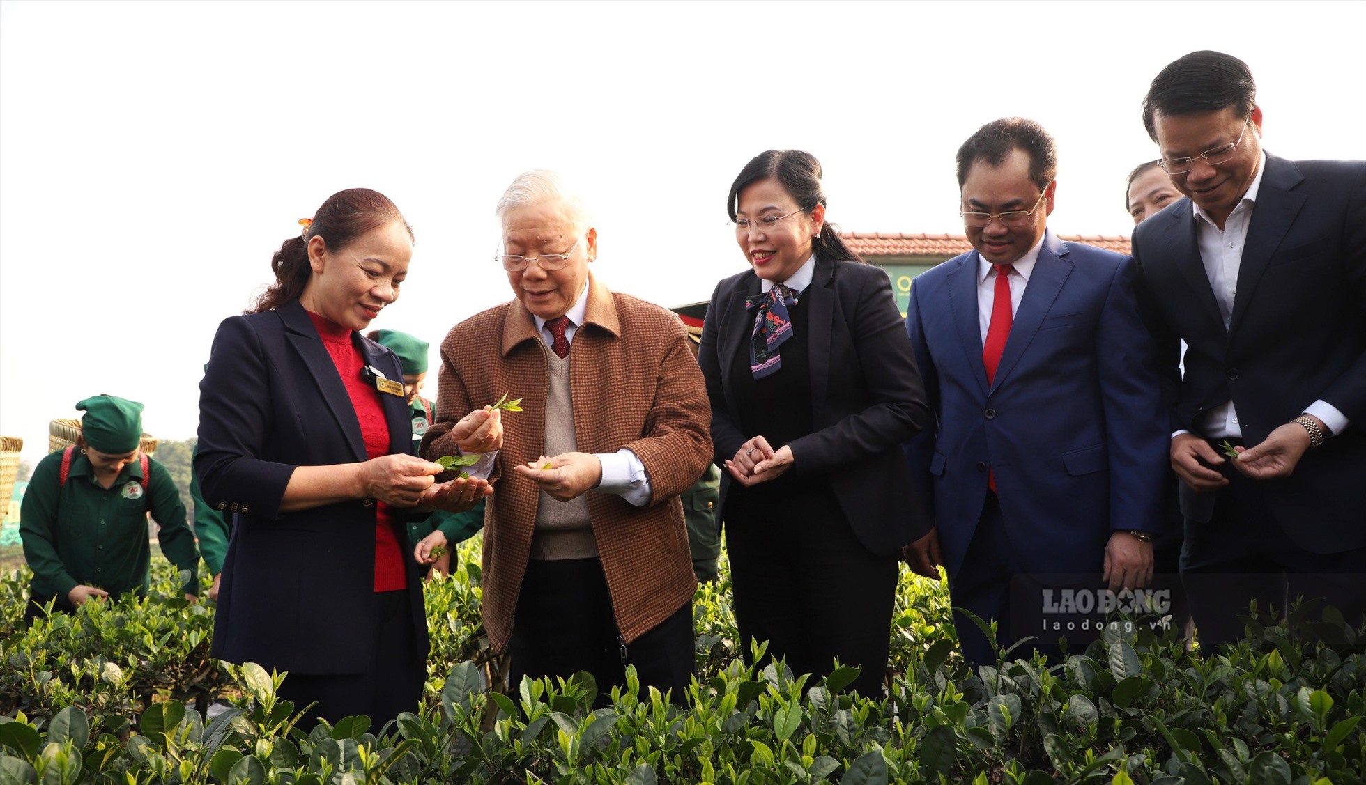 Cũng trong sáng nay, Tổng Bí thư Nguyễn Phú Trọng và đoàn công tác Trung ương đã tới thăm Hợp tác xã chè Hảo Đạt (xã Tân Cương, TP Thái Nguyên).