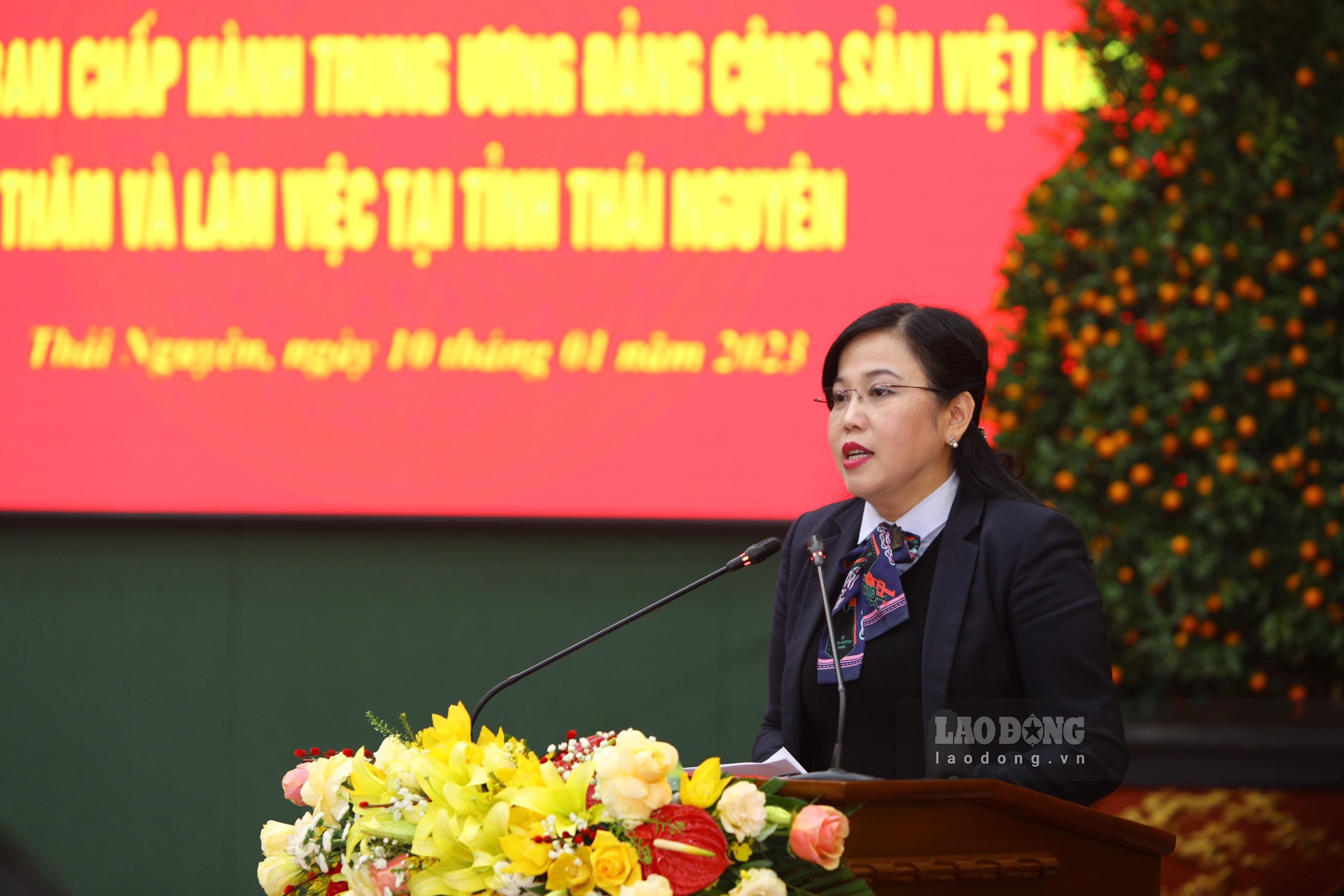 Đồng chí Nguyễn Thanh Hải - Bí thư Tỉnh uỷ Thái Nguyên báo cáo tại buổi làm việc.