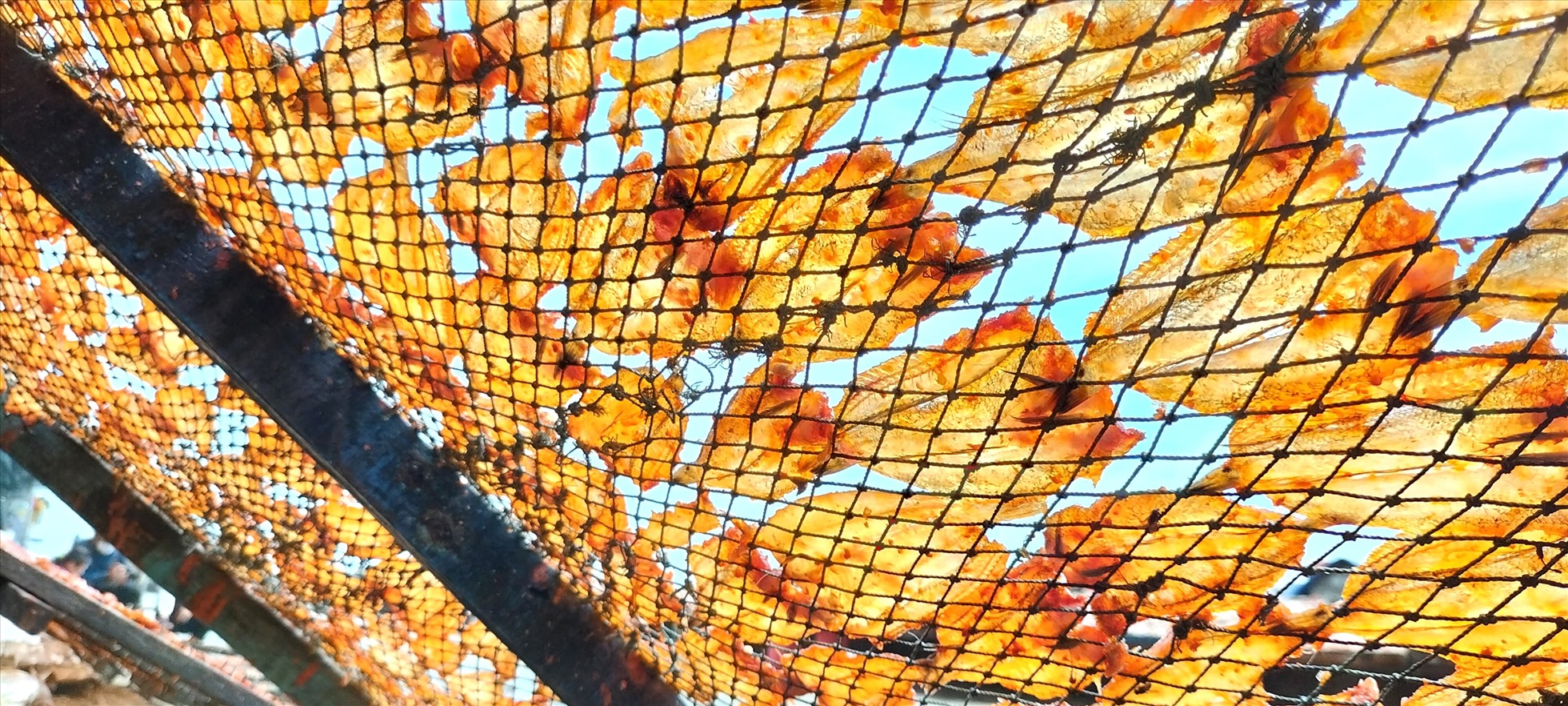 Khô cá lưỡi trâu được phơi bằng nắng và gió biển mang hương vị rất ngon, đảm bảo chất lượng được người dân quan tâm sử dụng.