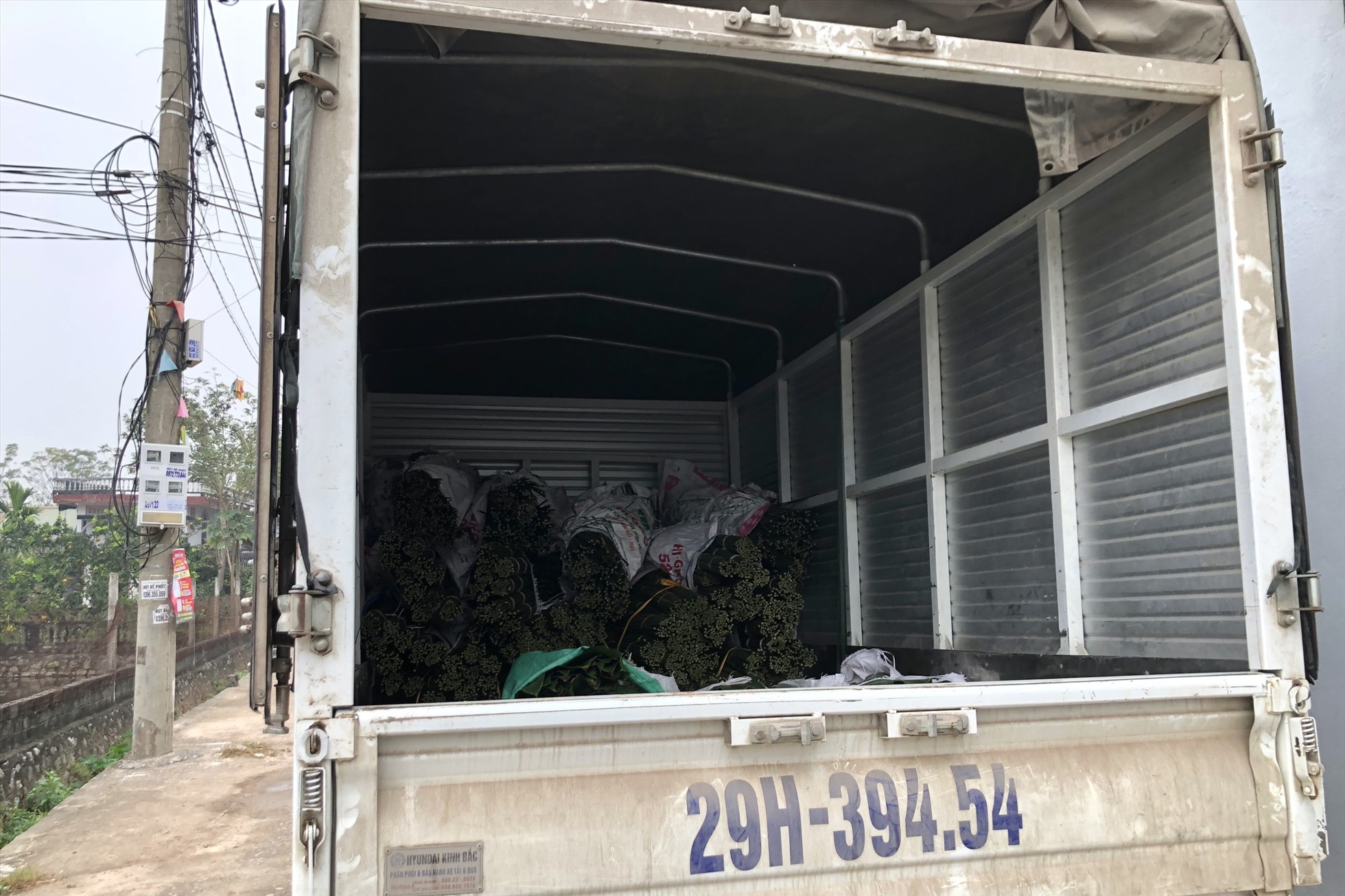 Nhiều tiểu thương đến tận làng thu mua lá dong Tràng Cát bằng xe tải.