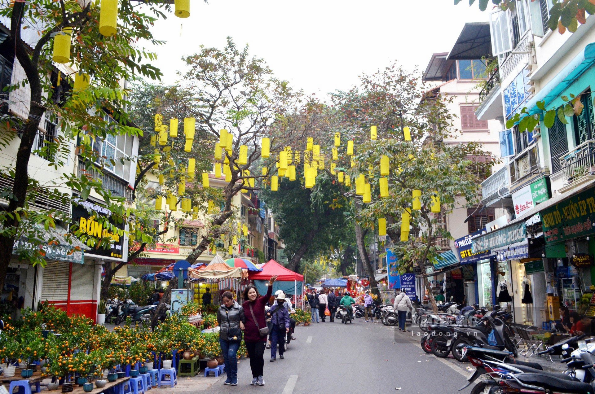 Những ngày này, chợ hoa có tuổi đời hơn 100 tuổi ở Hà thành được điểm tô bằng chiếc đèn lồng màu vàng bắt mắt.