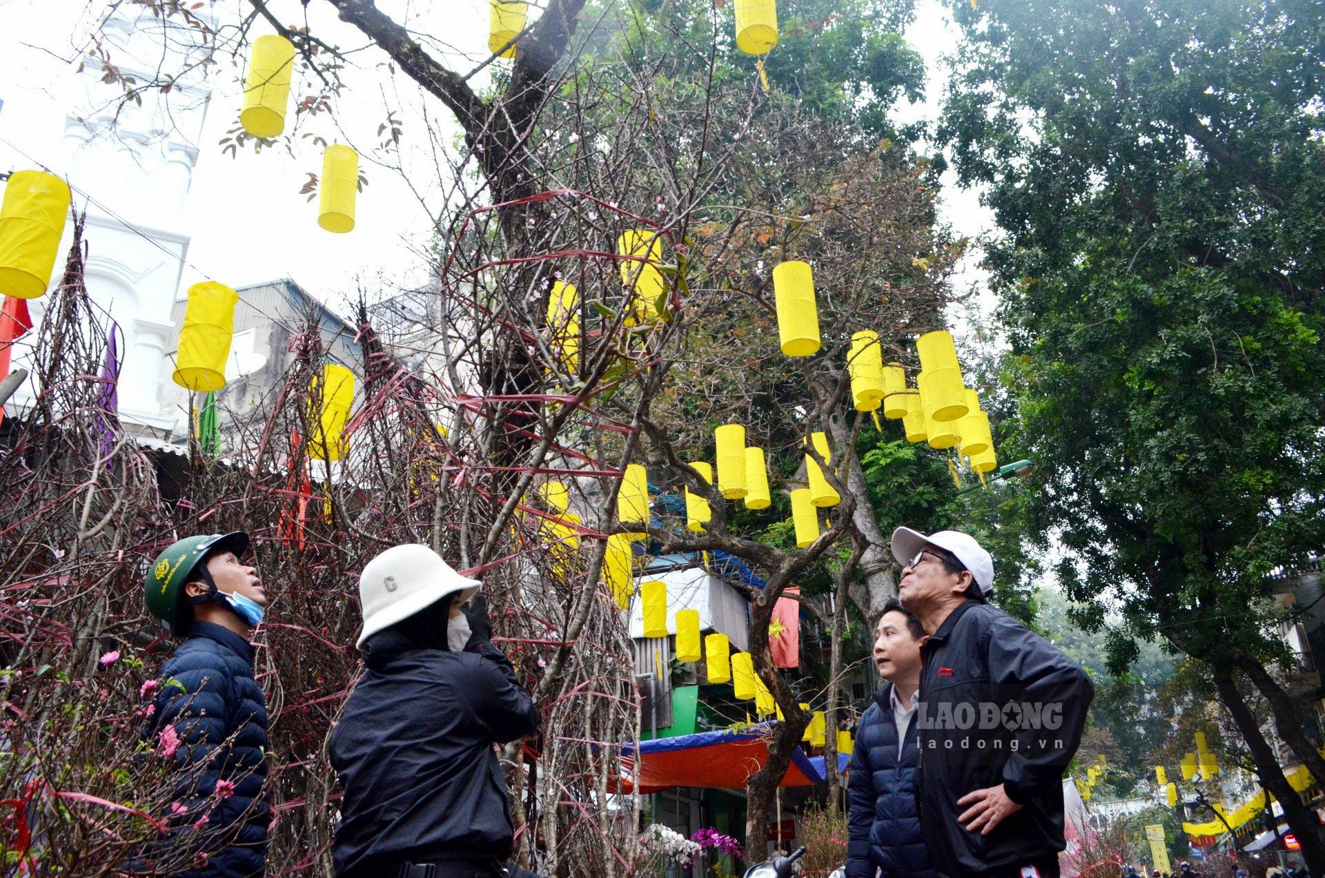 Trong khi đó, đã nhiều người dân đến thăm quan, chọn lọc tỉ mỉ trước chọn cho mình một cành đào chơi Tết.